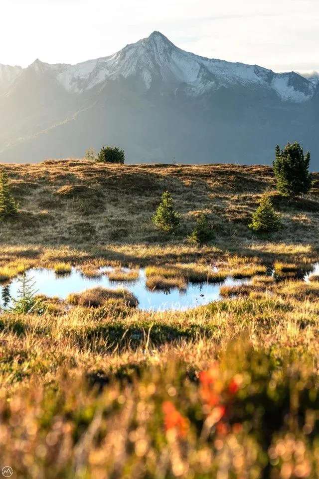Hiking in Ferienhotel Sonnenhof