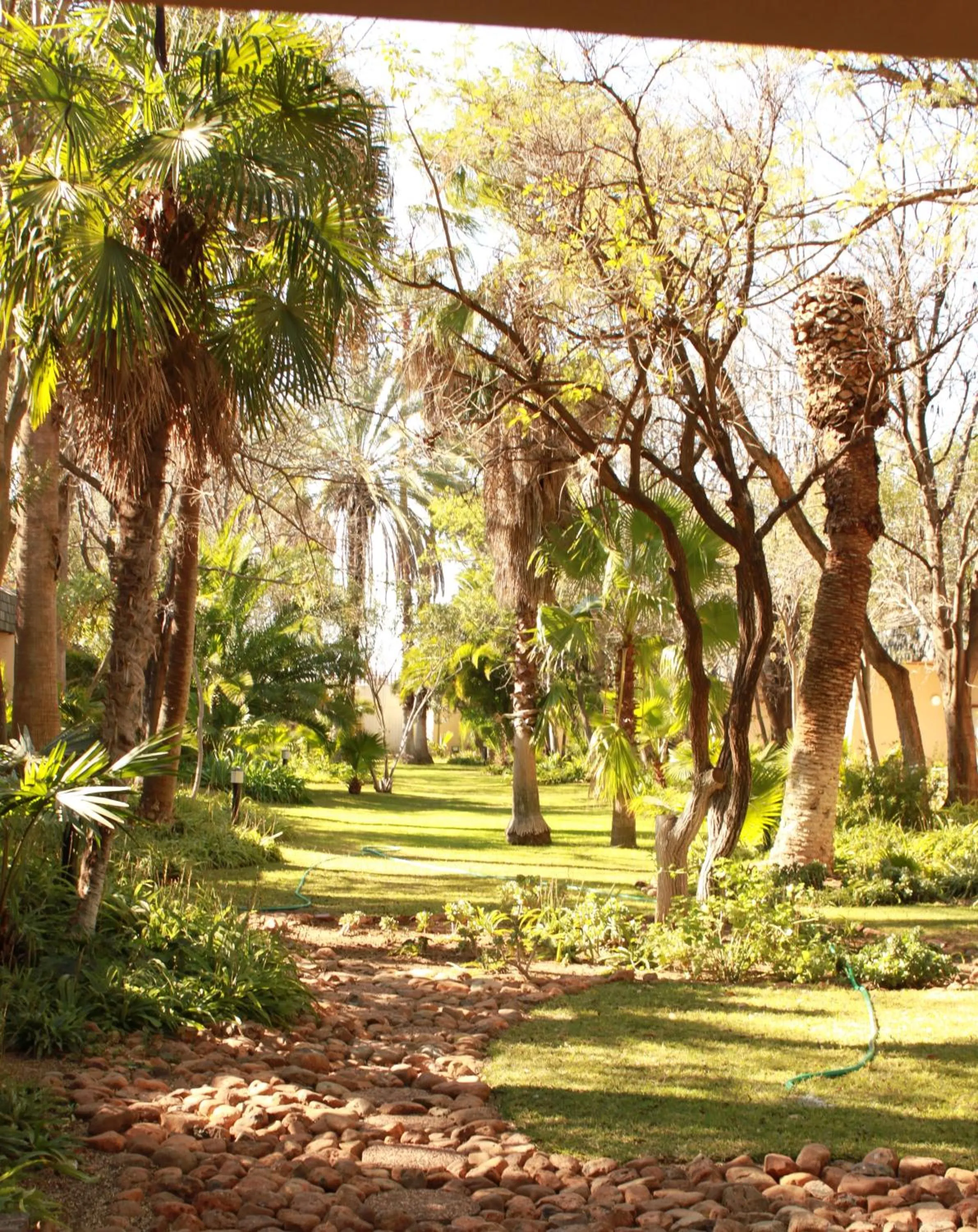 Garden in Peermont Walmont at Mmabatho Palms