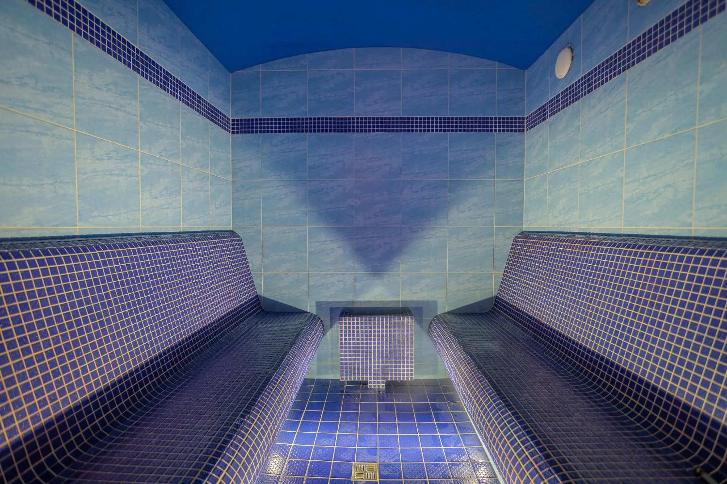 Spa and wellness centre/facilities in Park Holiday Congress & Wellness Hotel