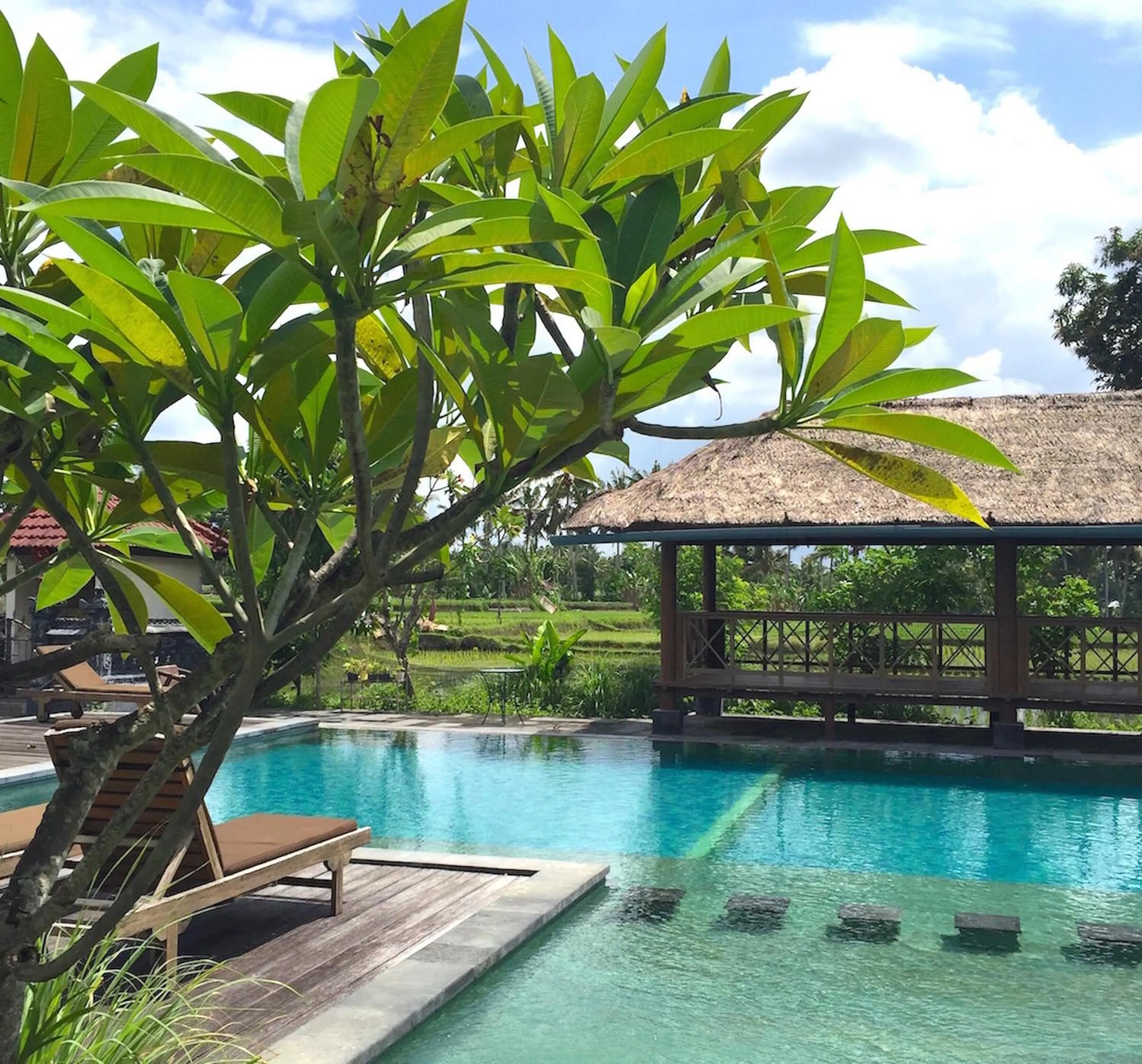 Swimming pool in Suly Vegetarian Resort & Spa