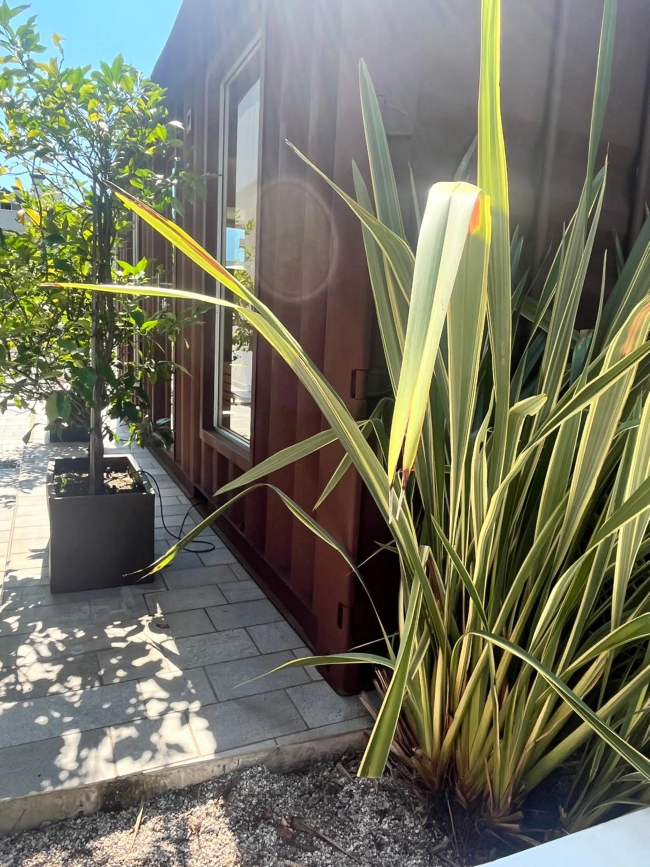 Sauna in Hotel Virgilio