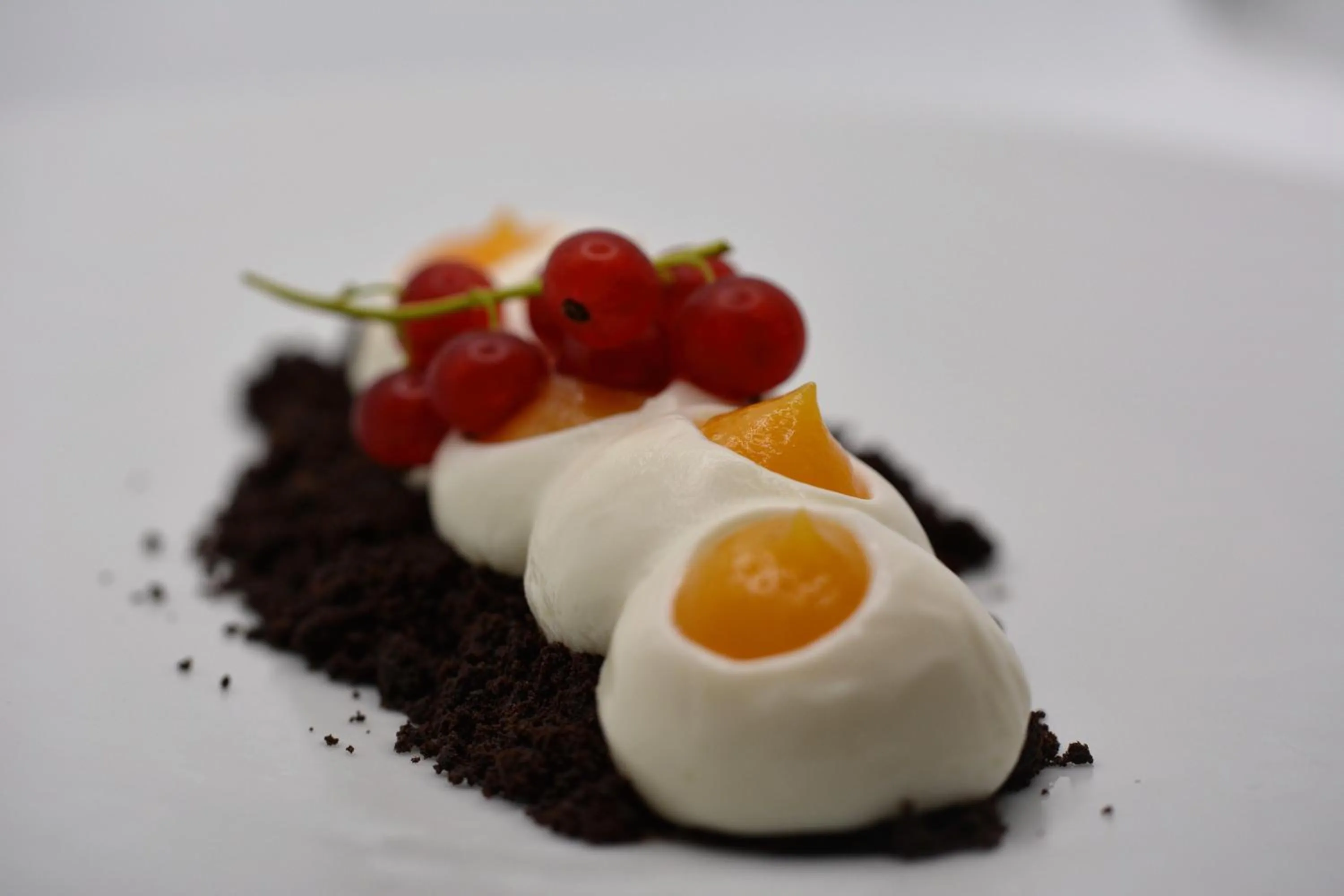 Restaurant/places to eat in Hotel Virgilio