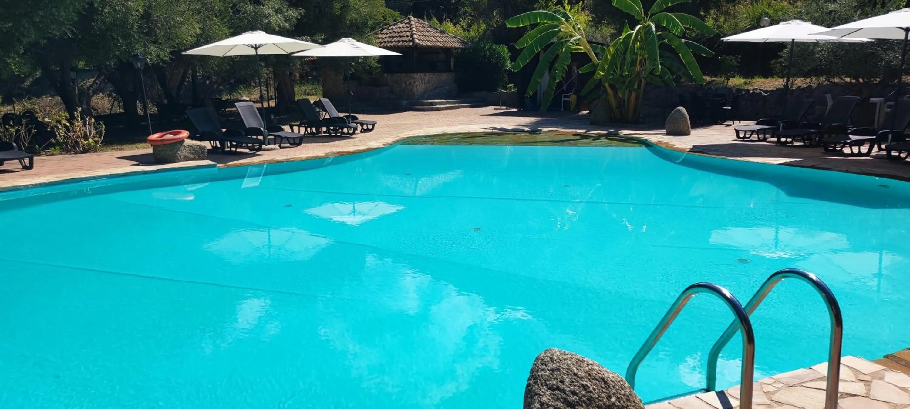 Pool view in Residenza La Vigna