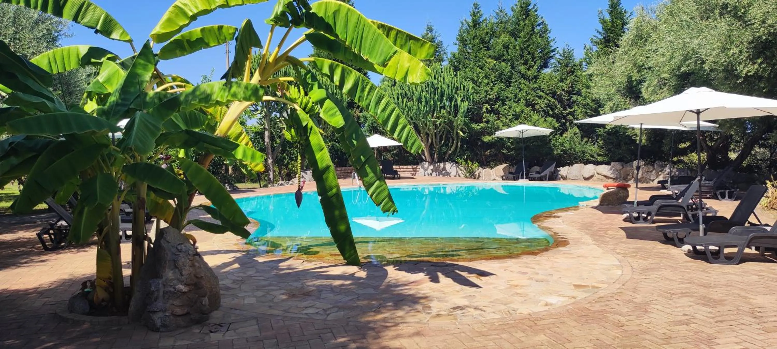 Pool view in Residenza La Vigna