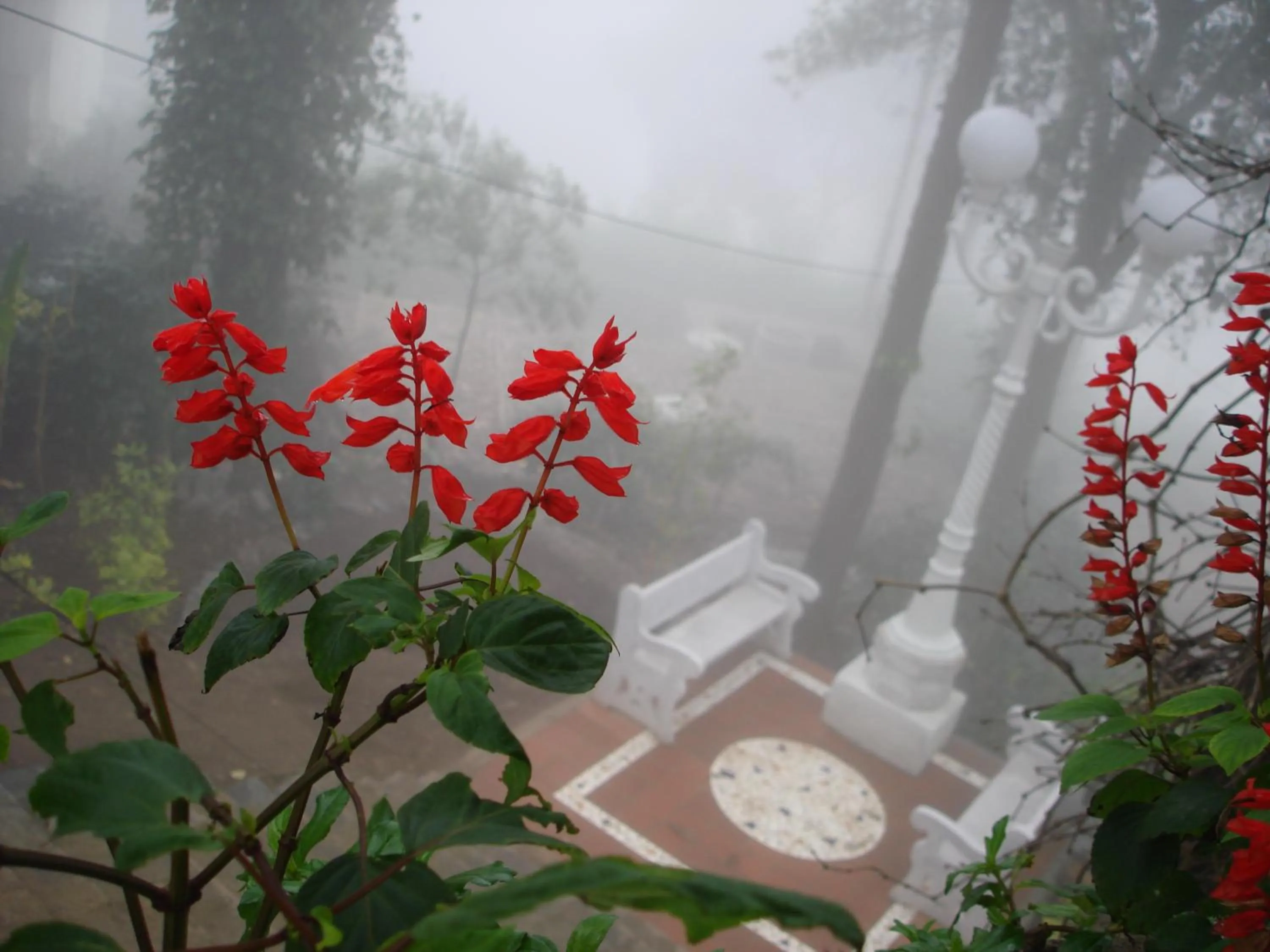 Winter in INDeco Lake Forest