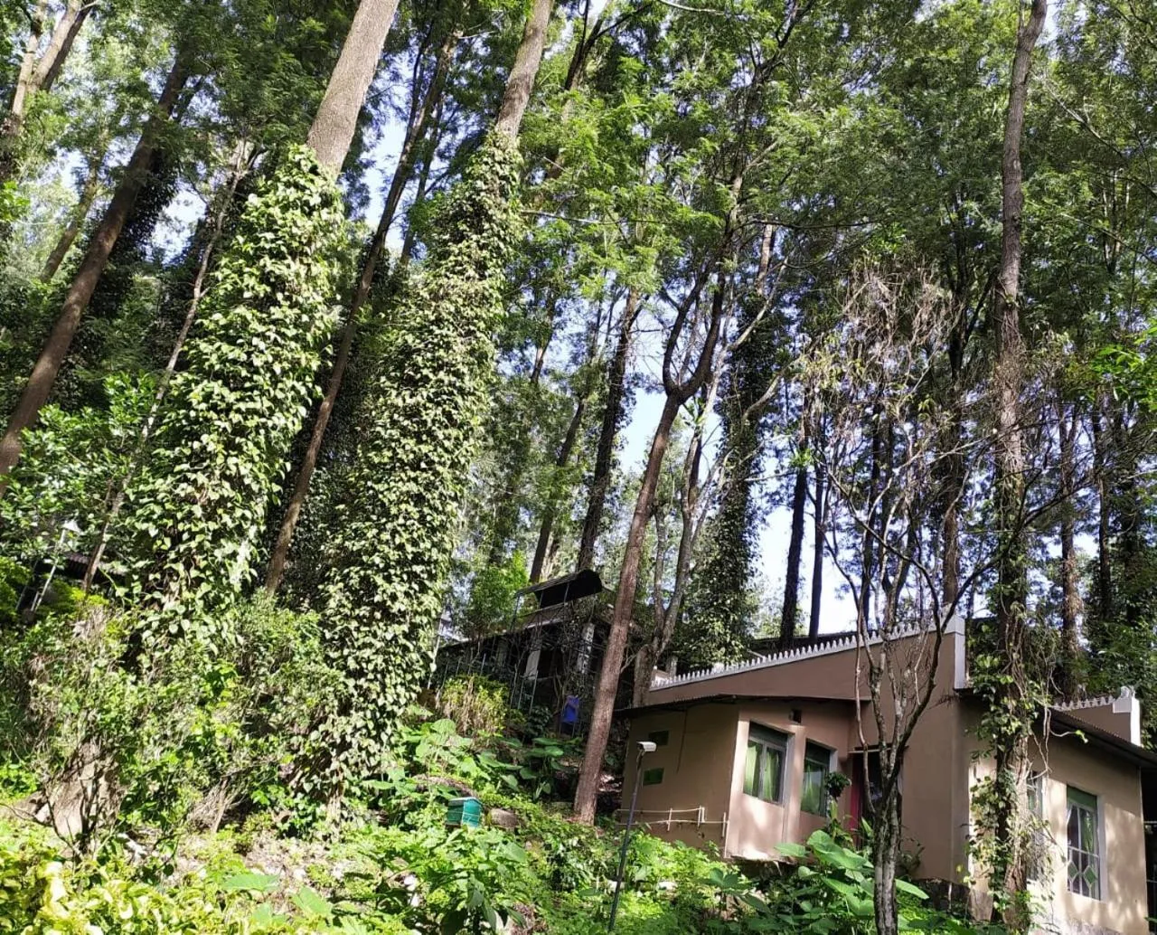 Natural landscape in INDeco Lake Forest