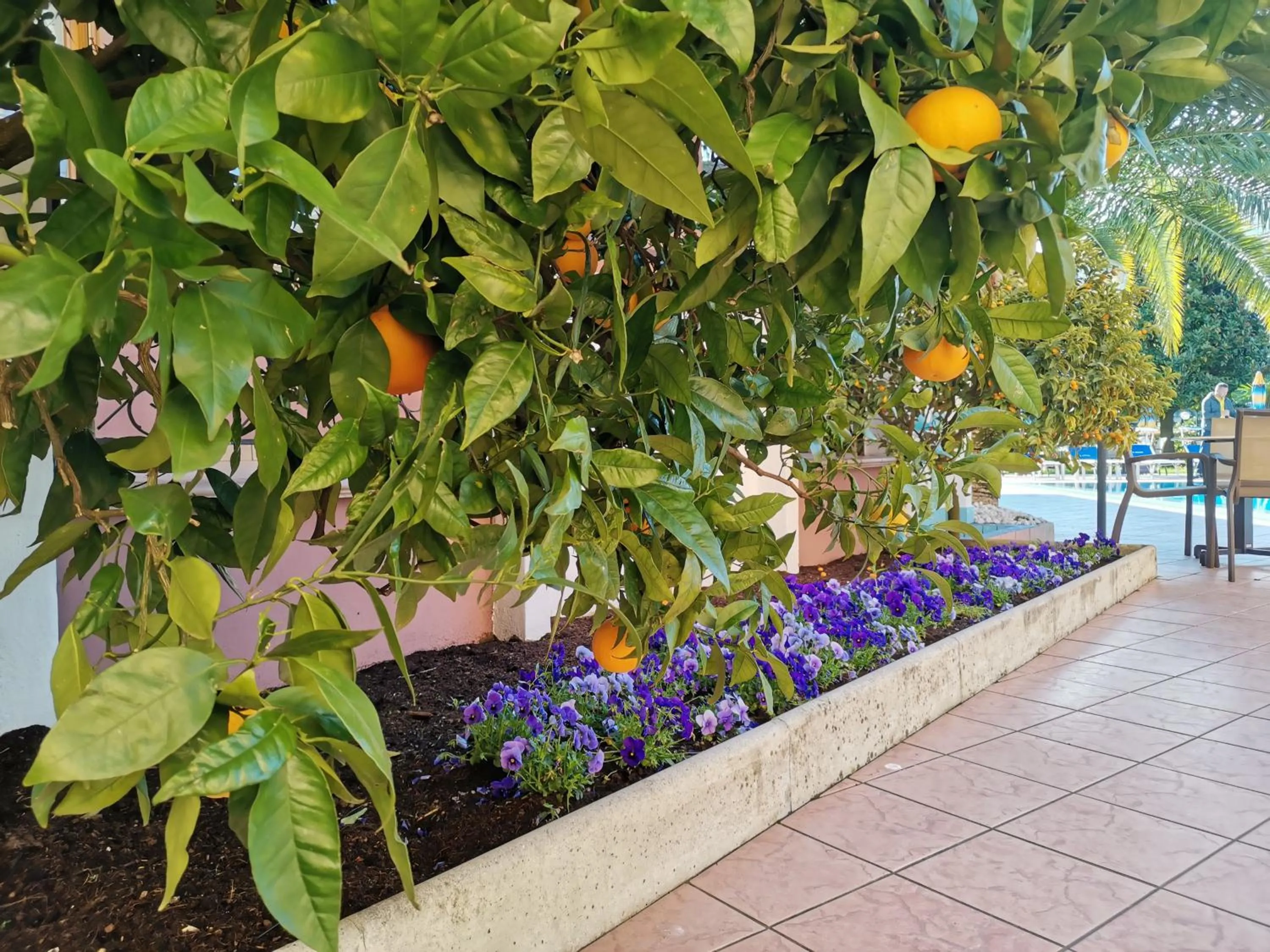 Property building in SunLake Hotel