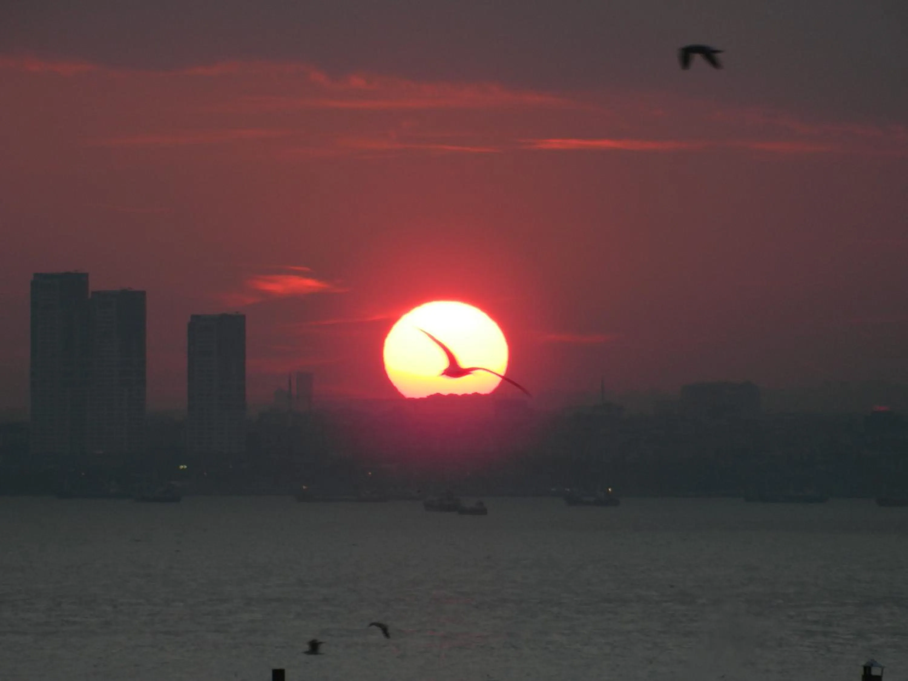 View (from property/room) in Khalkedon Hotel Istanbul