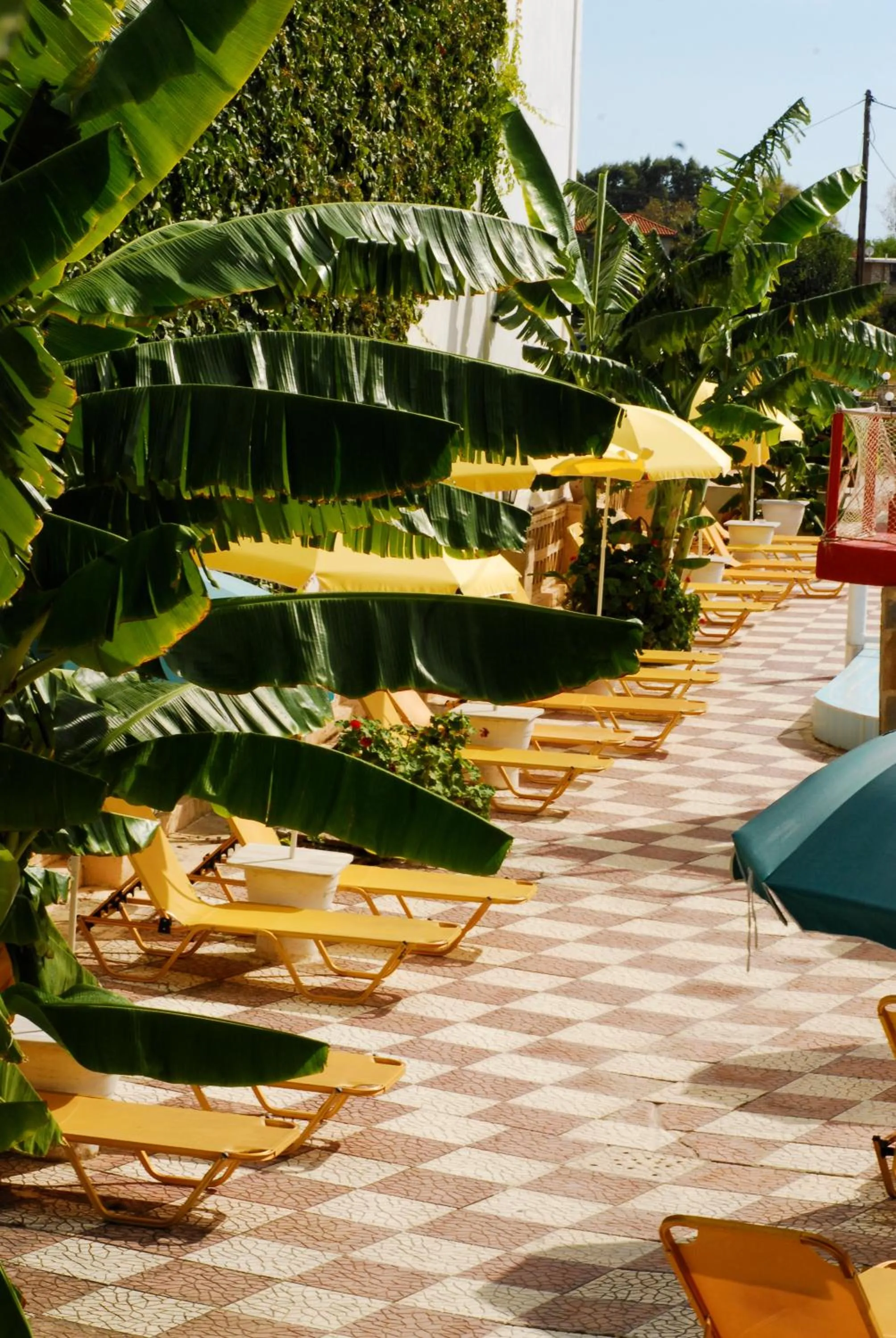 Facade/entrance in Vanessa Hotel