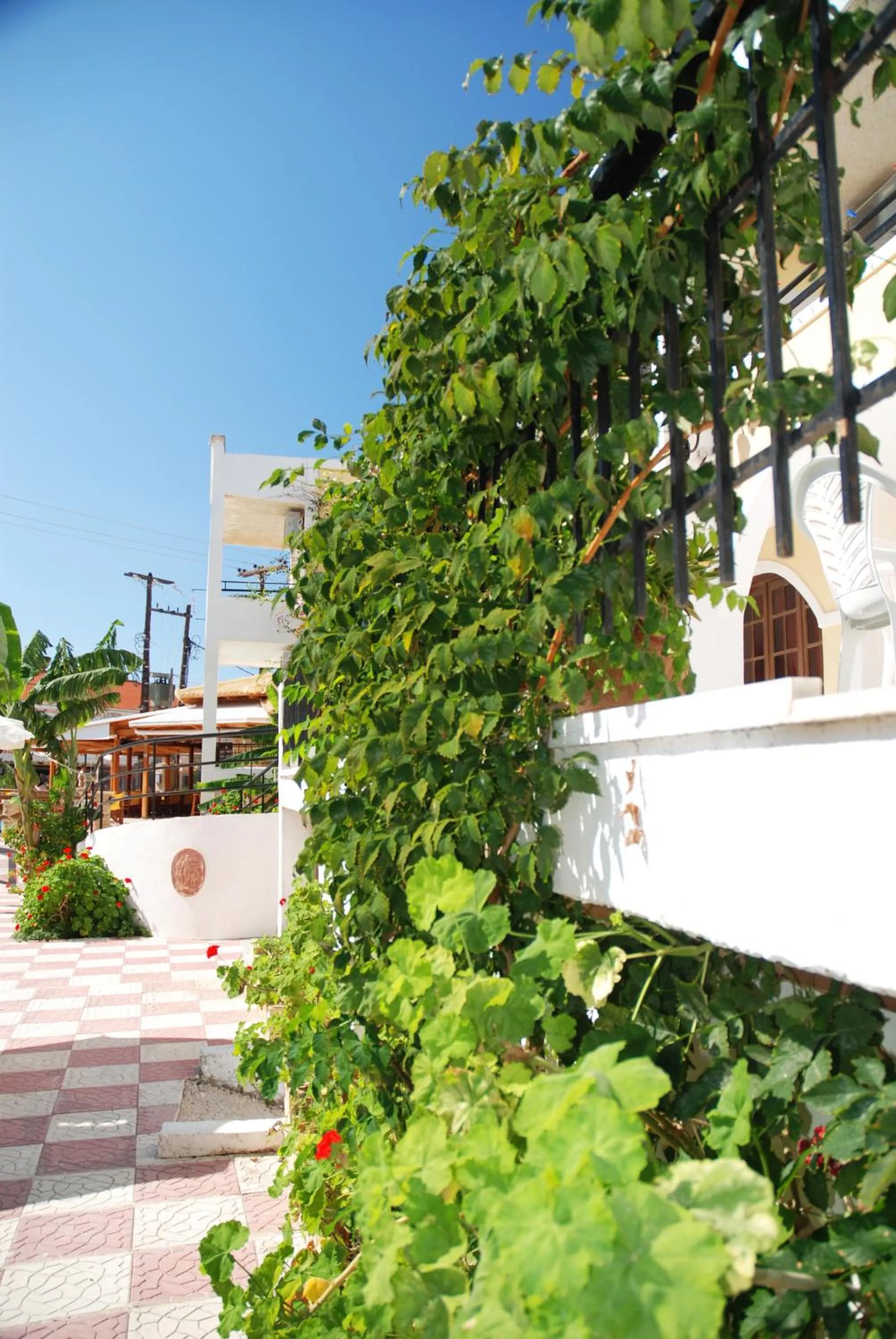 Facade/entrance in Vanessa Hotel