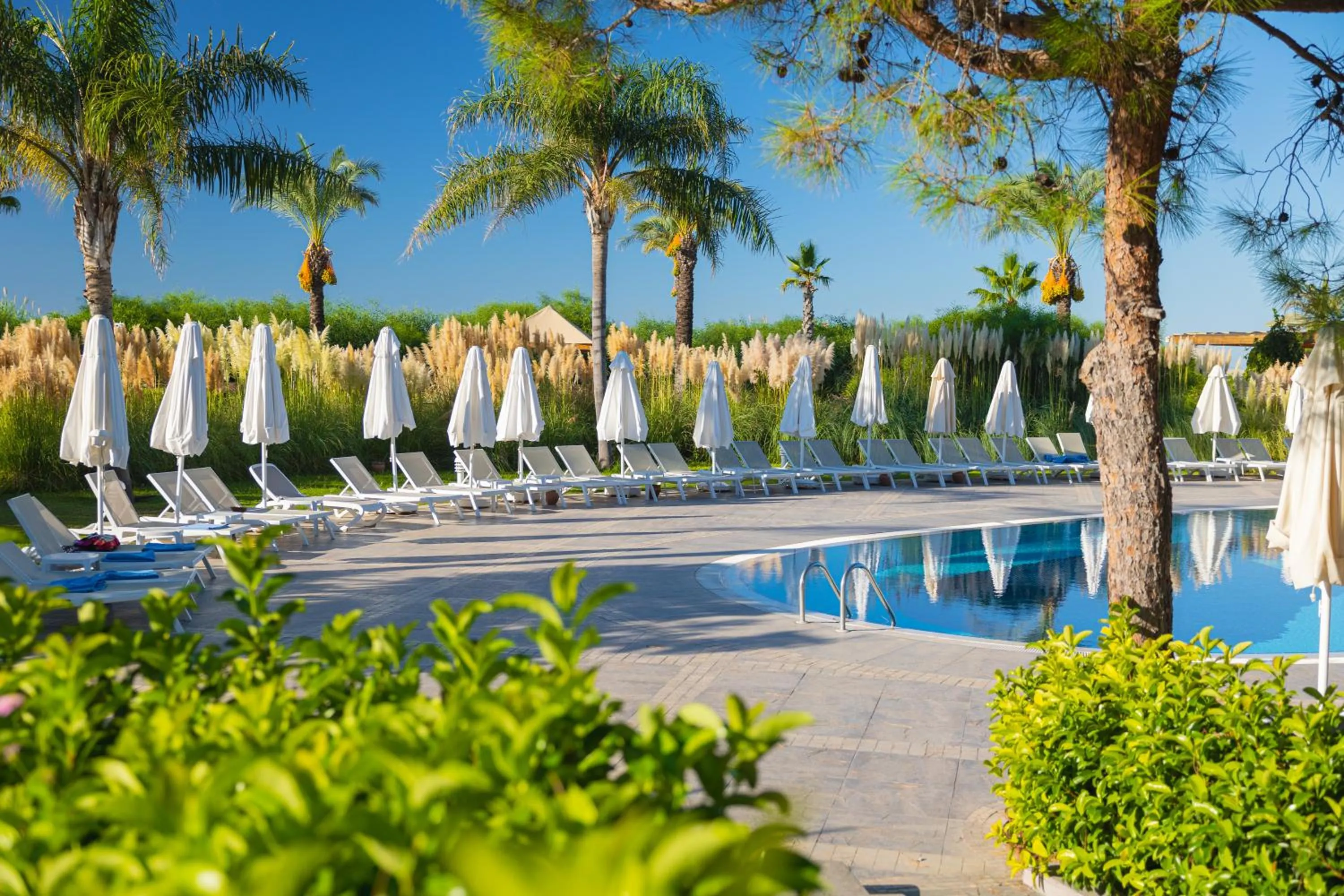 Swimming pool in Sueno Hotels Beach Side
