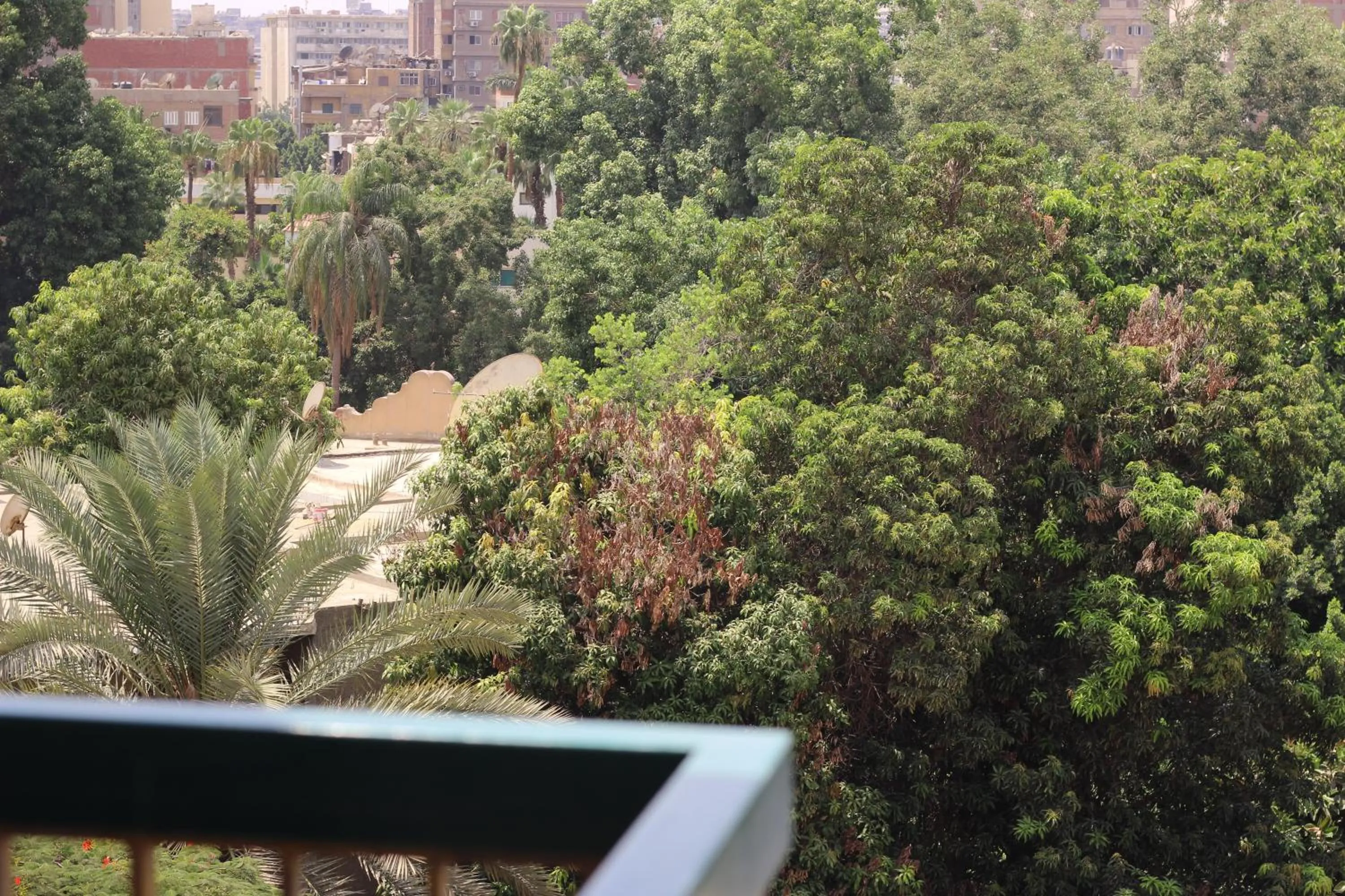 Natural landscape in Santana Hotel Cairo