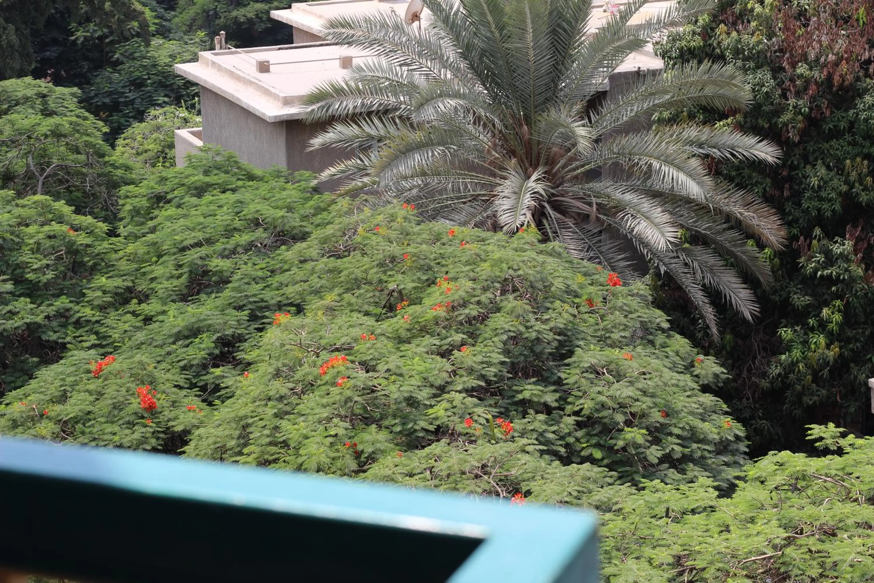 Natural landscape in Santana Hotel Cairo