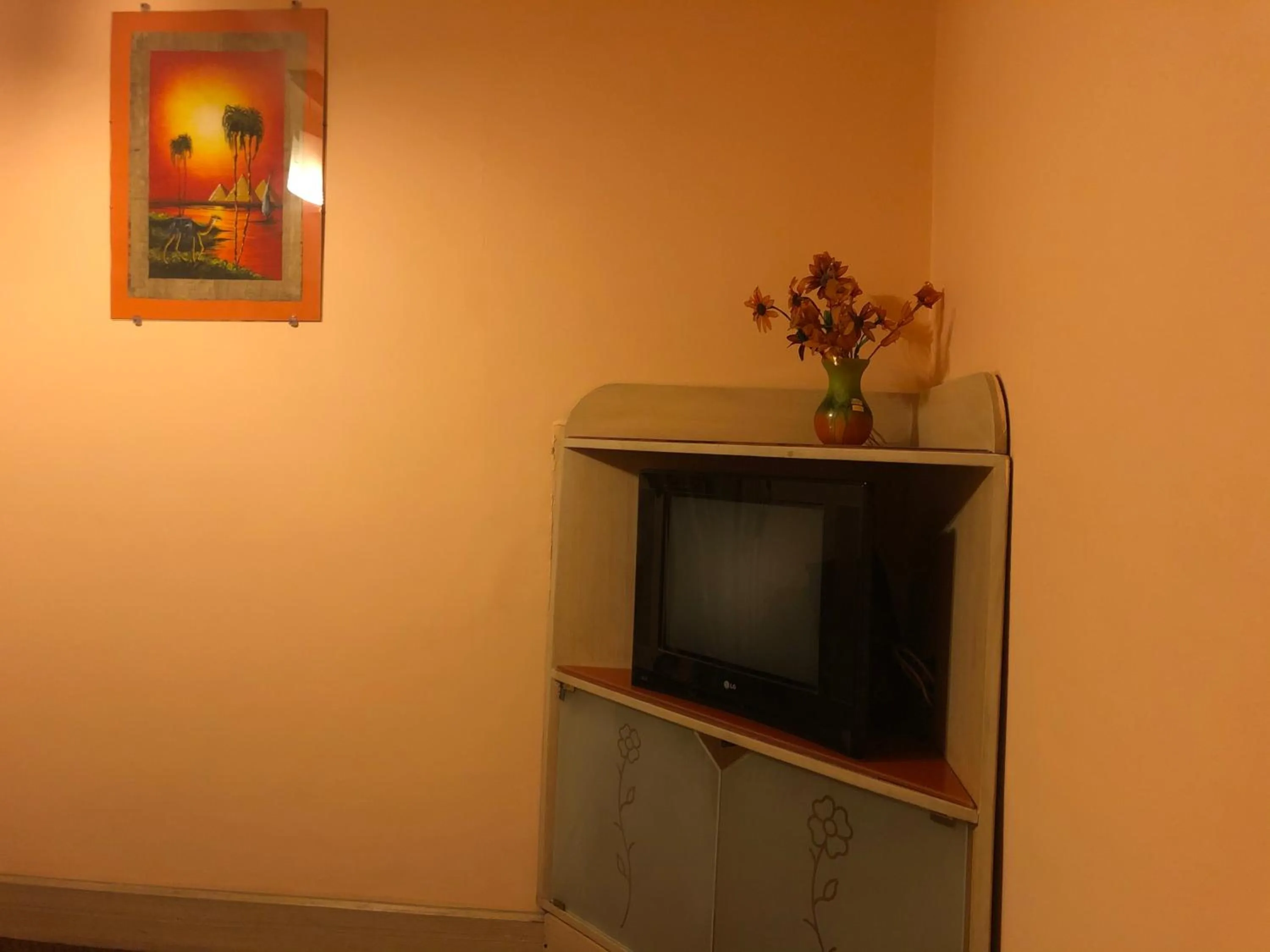 TV and multimedia in Santana Hotel Cairo