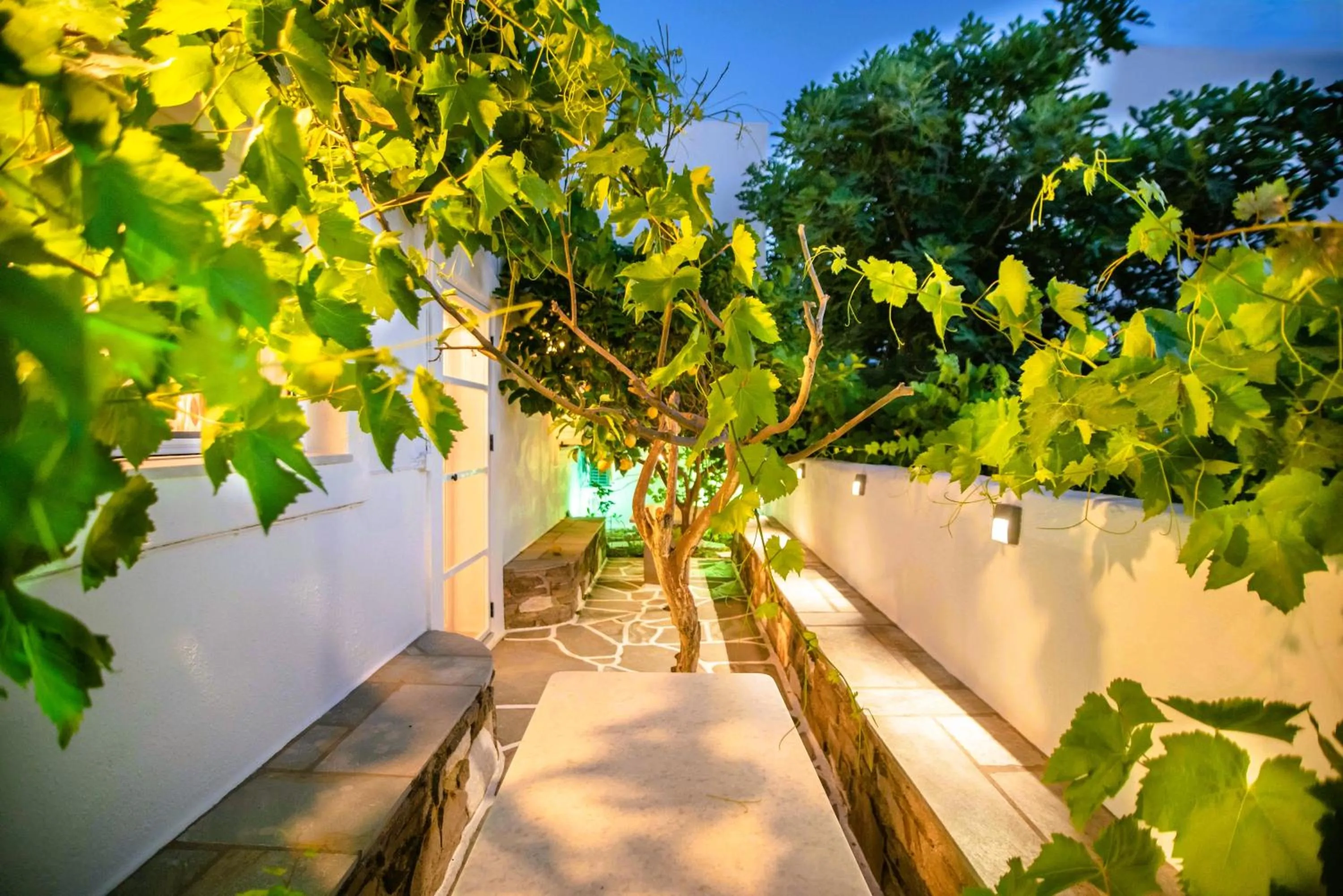 Balcony/Terrace in Kontaratos Studios & Apartments