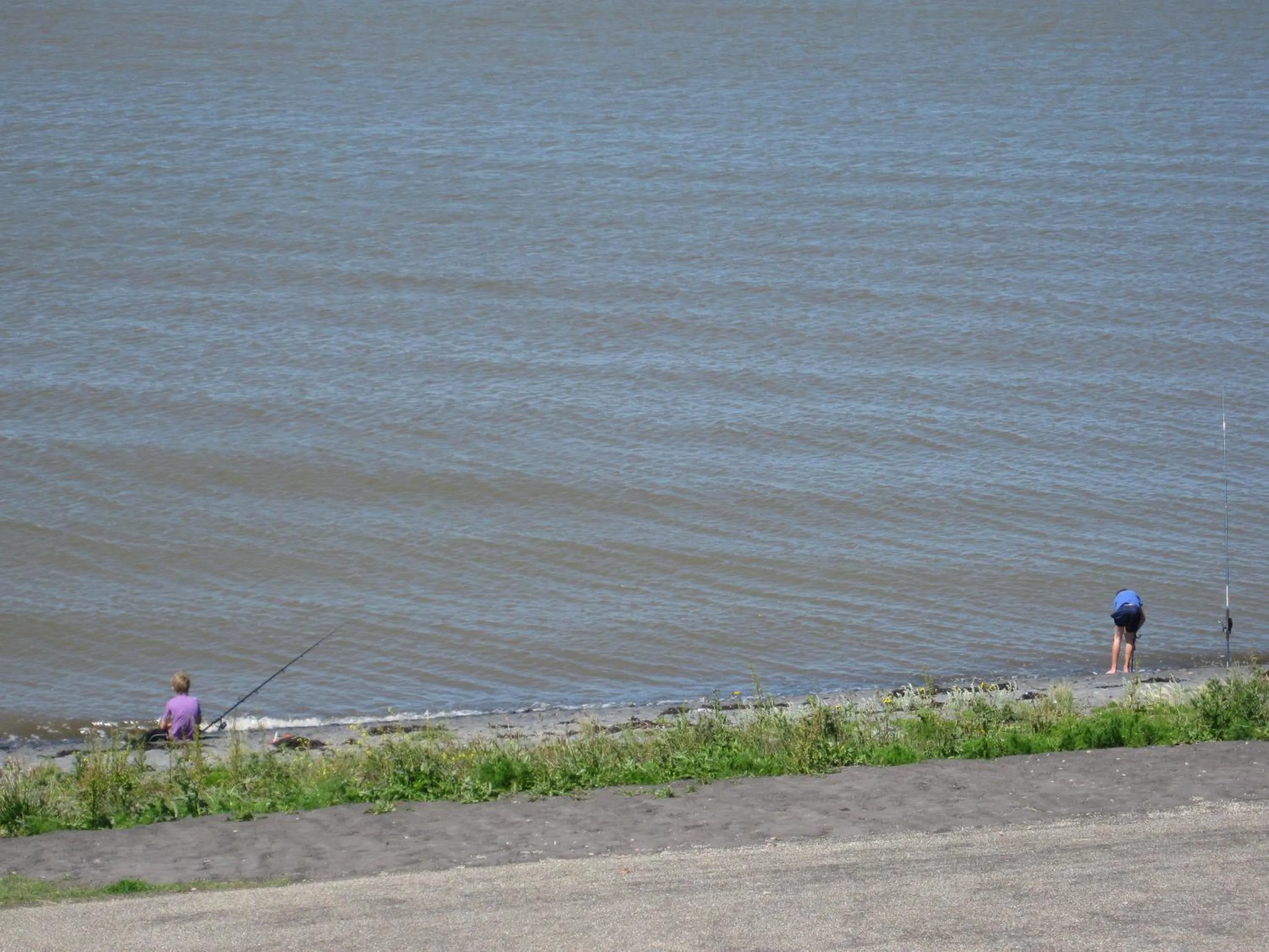 Neighbourhood in Bed and Breakfast De Zeehoeve