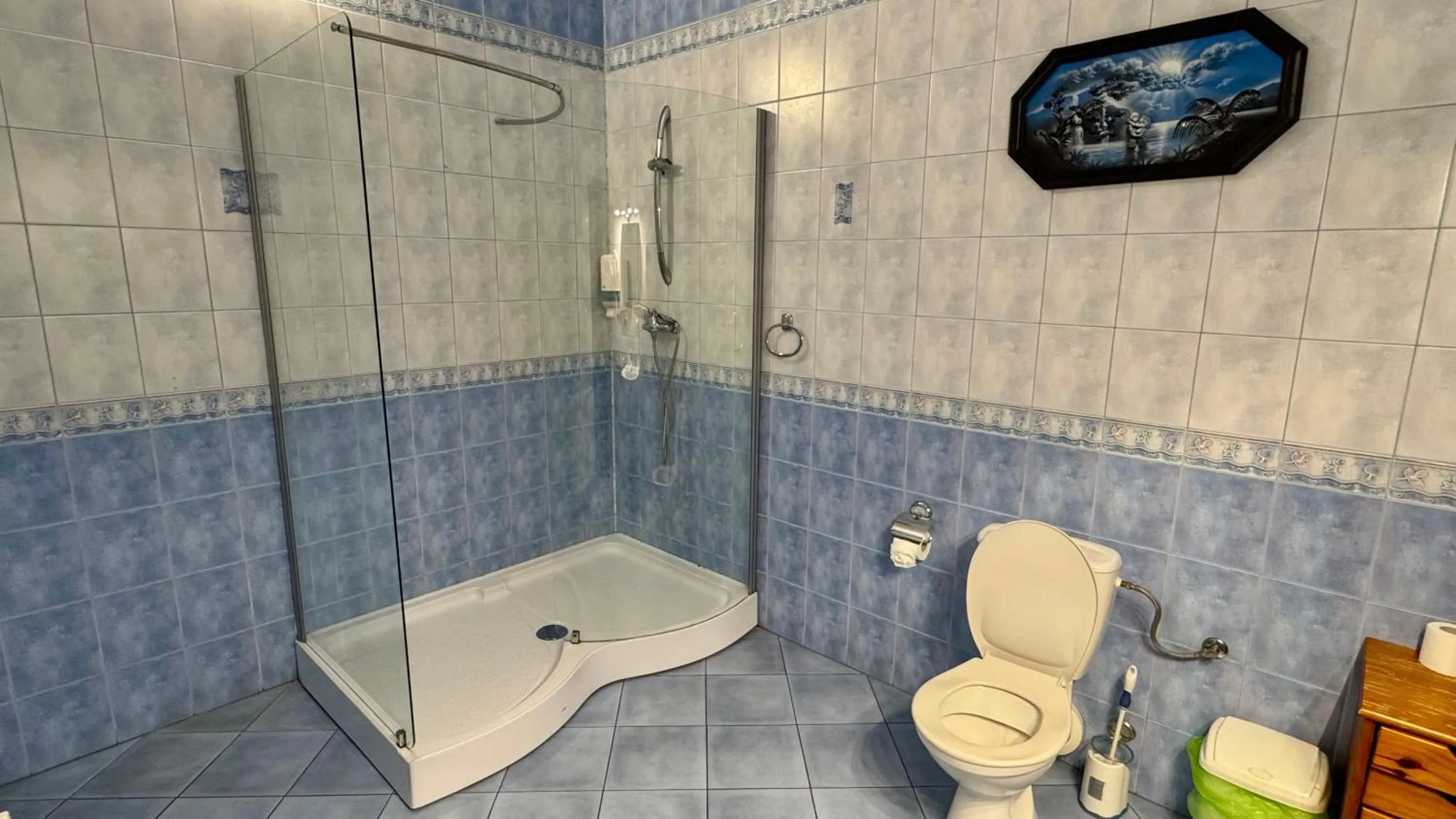 Shower in Pałac SŁONOWICE