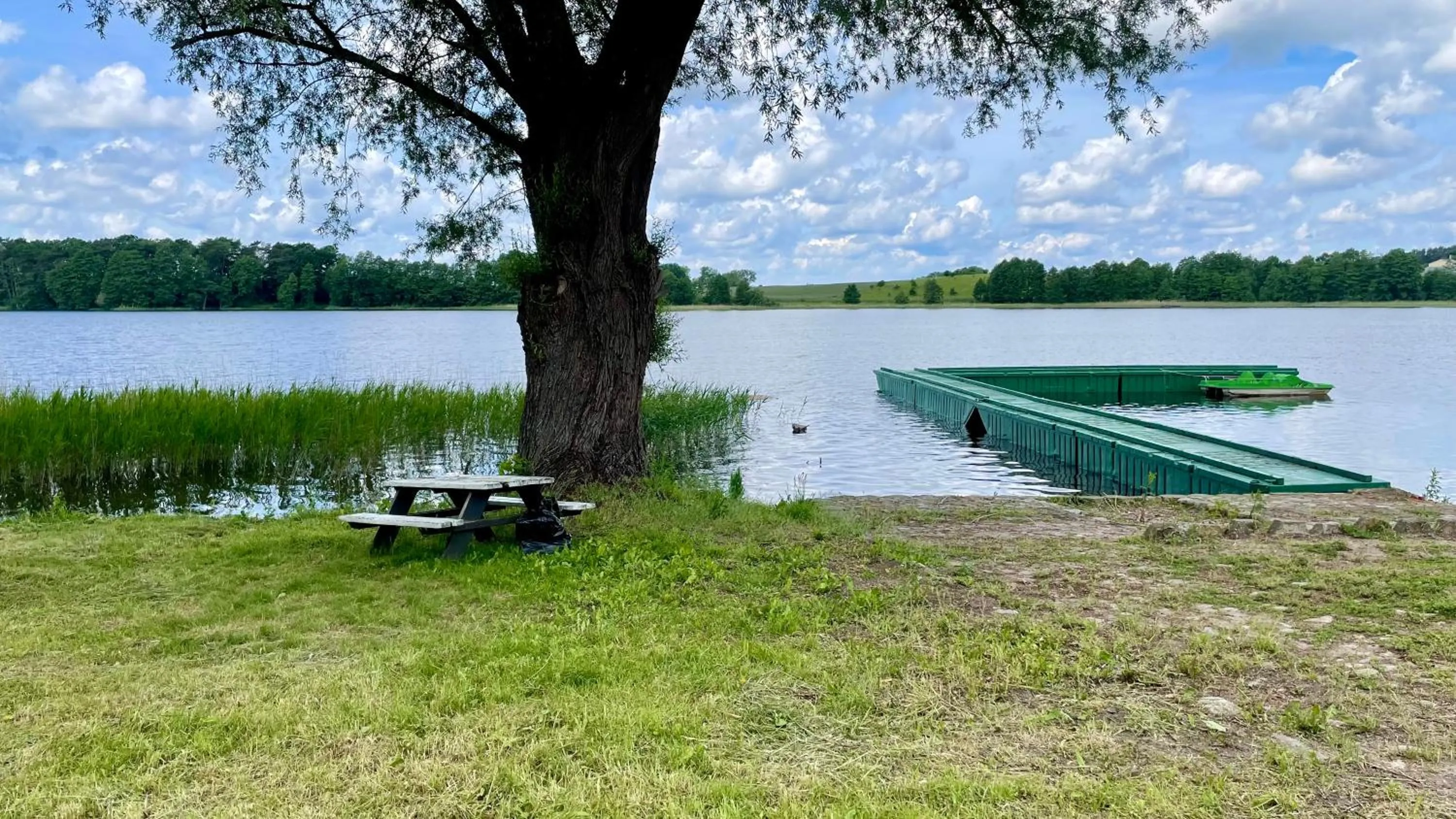 Beach in Pałac SŁONOWICE