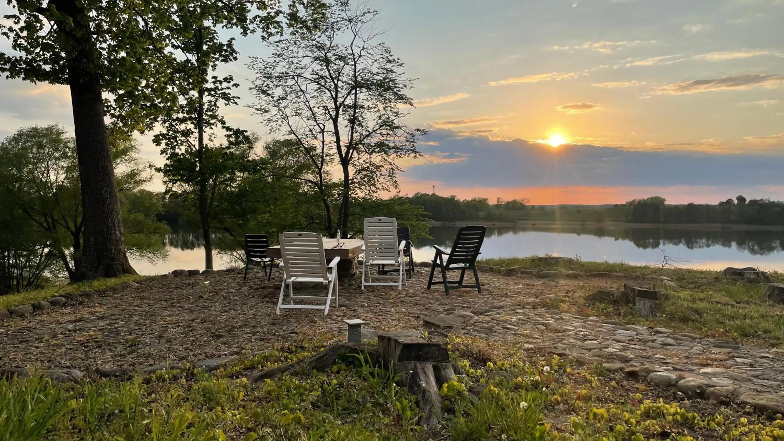 Natural landscape in Pałac SŁONOWICE