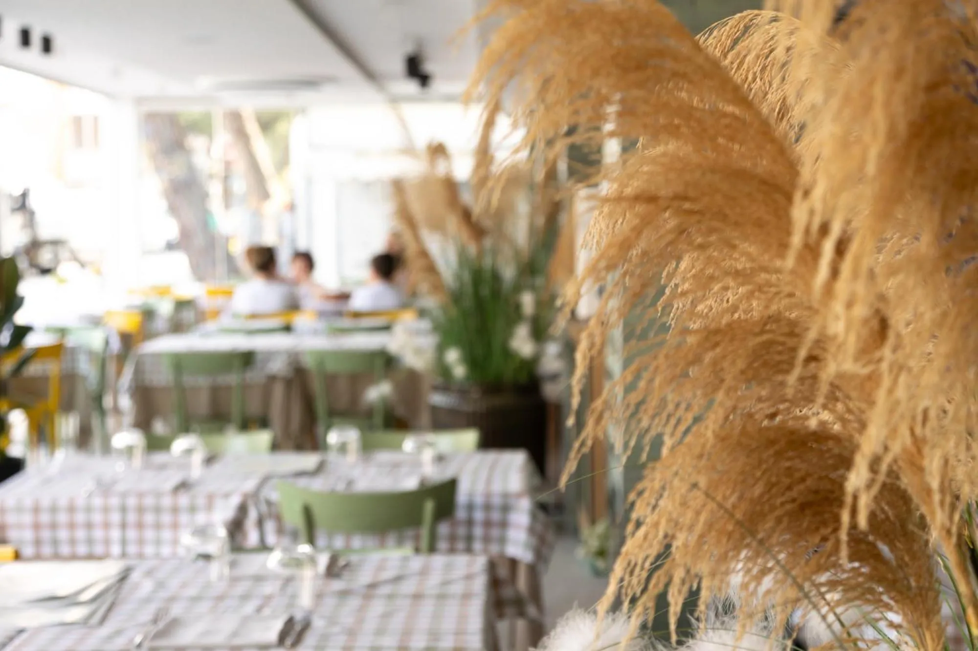 Restaurant/places to eat in Hotel Jesulum