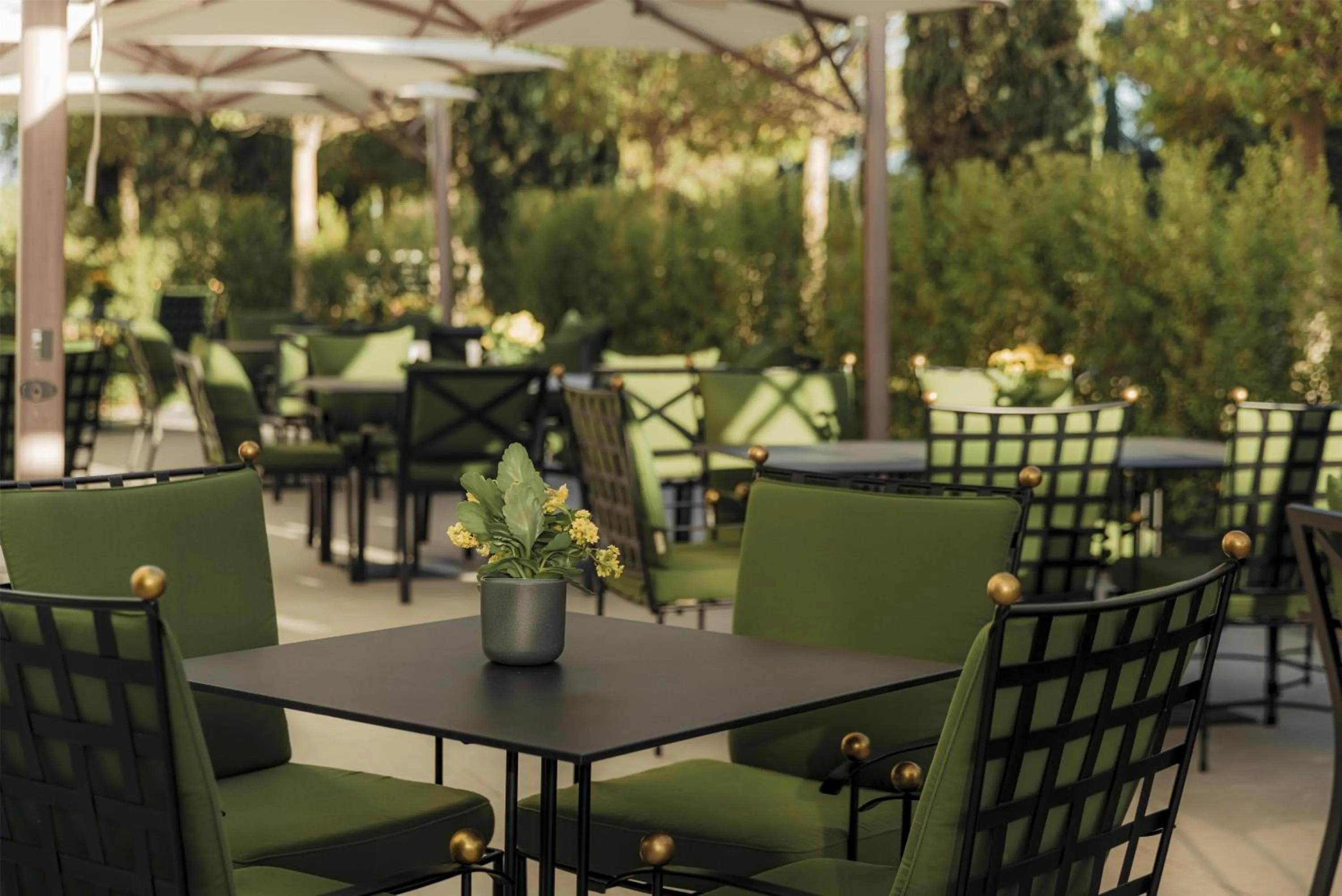 Restaurant/places to eat in Conrad Algarve