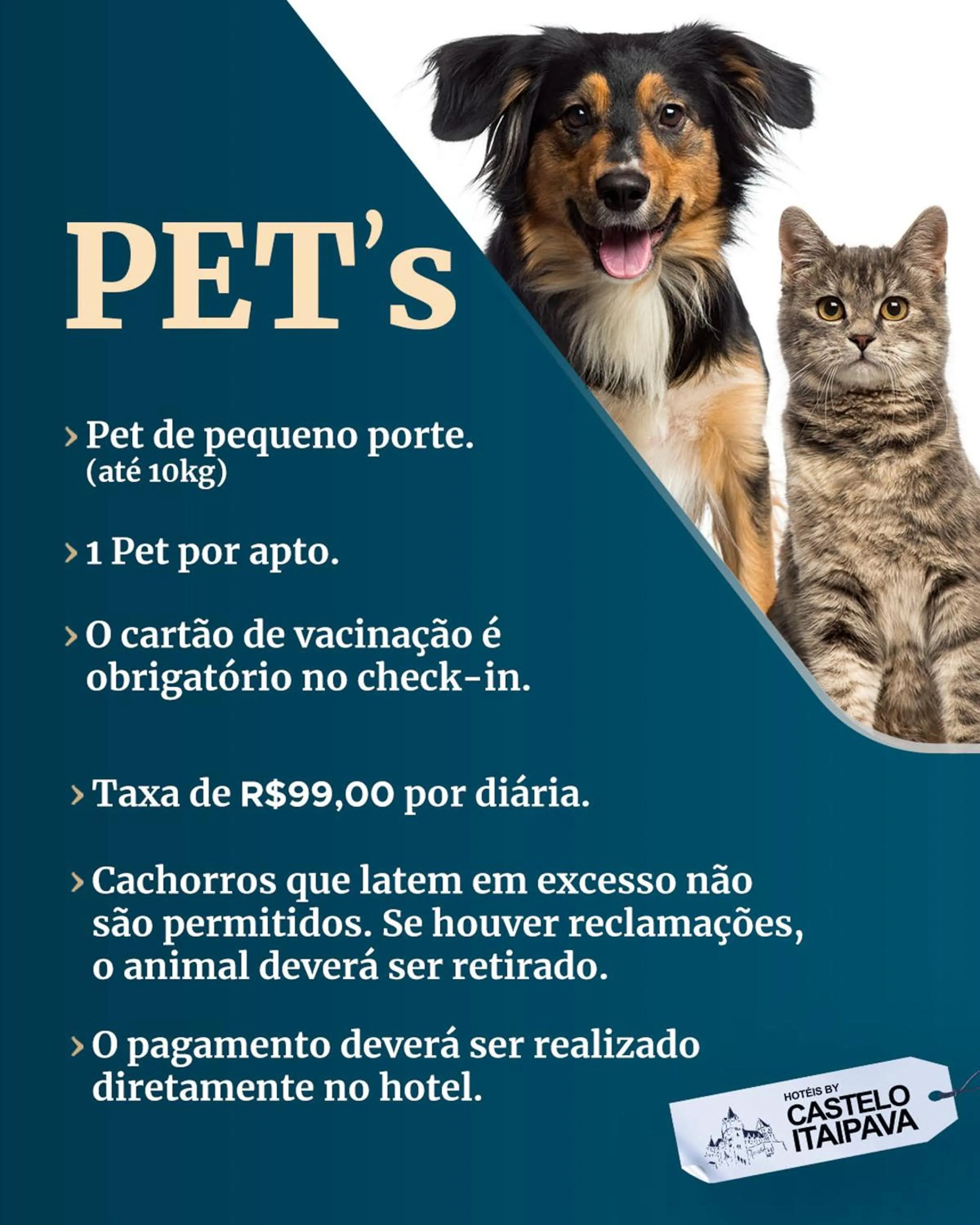 Animals in Bomtempo II Chales by Castelo Itaipava