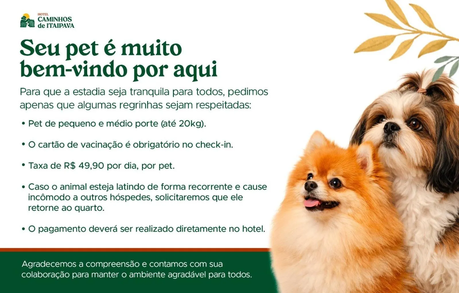 Hotel Caminhos de Itaipava