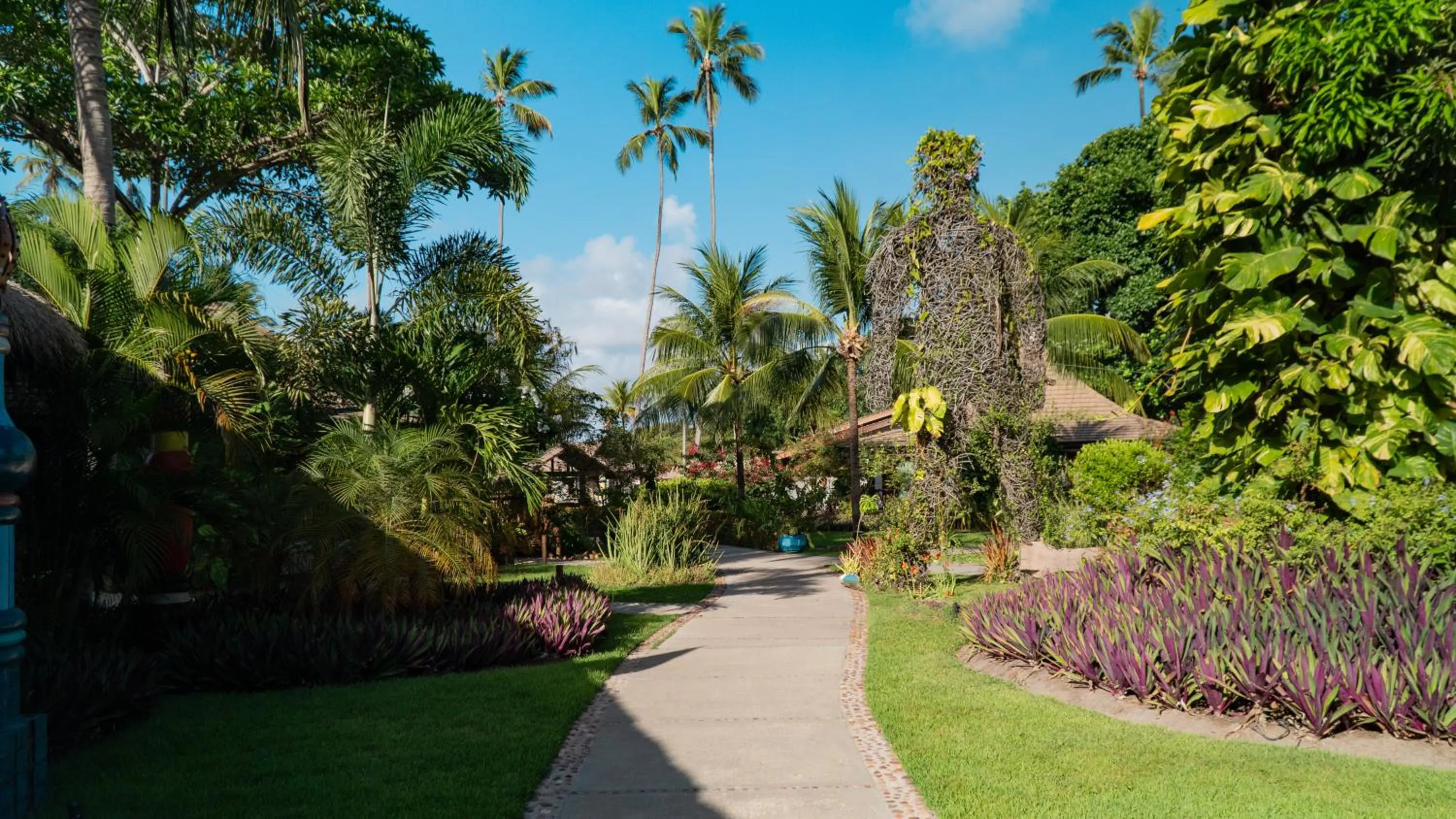 Garden in Pousada Praia dos Carneiros