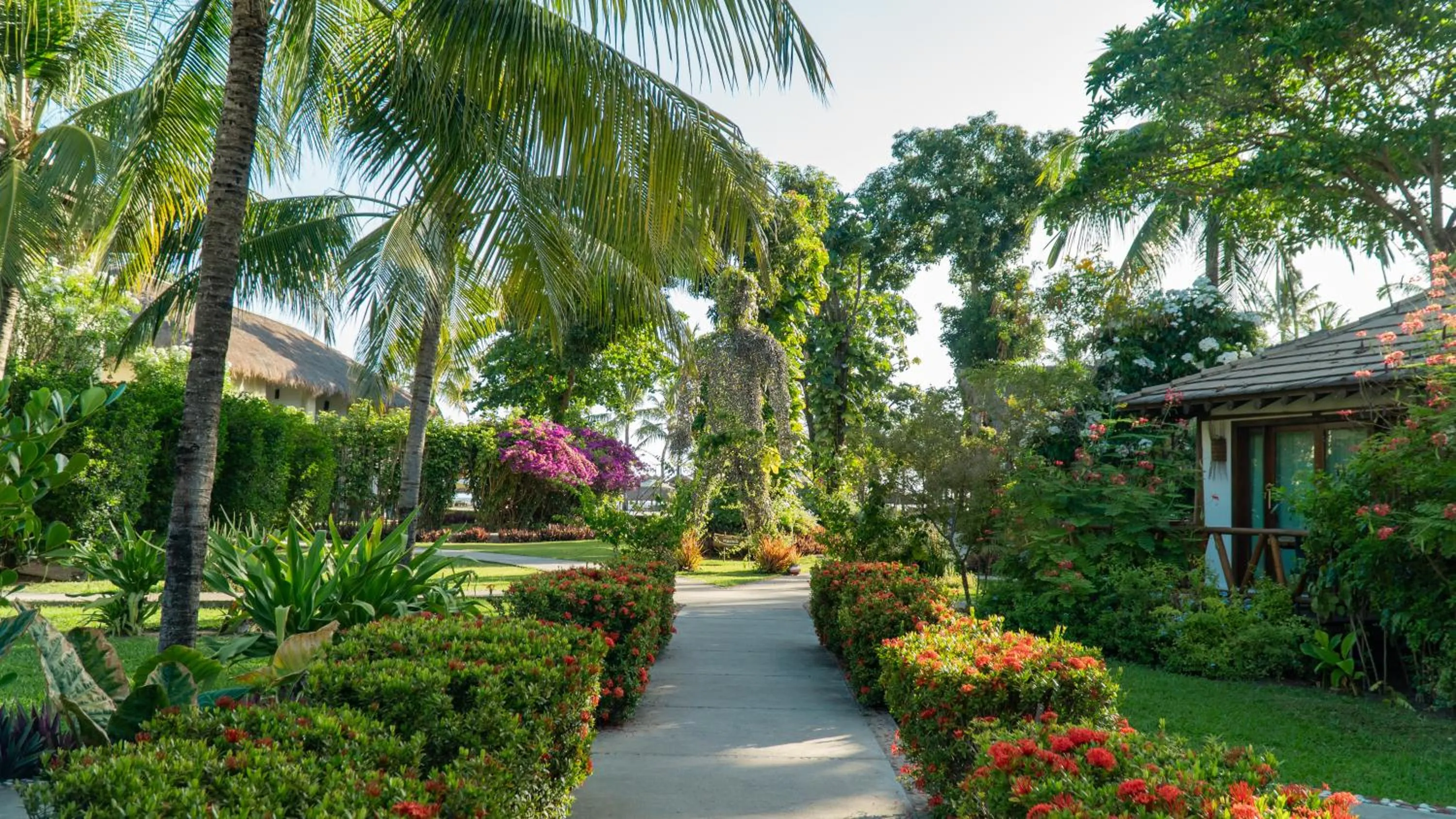 Garden in Pousada Praia dos Carneiros
