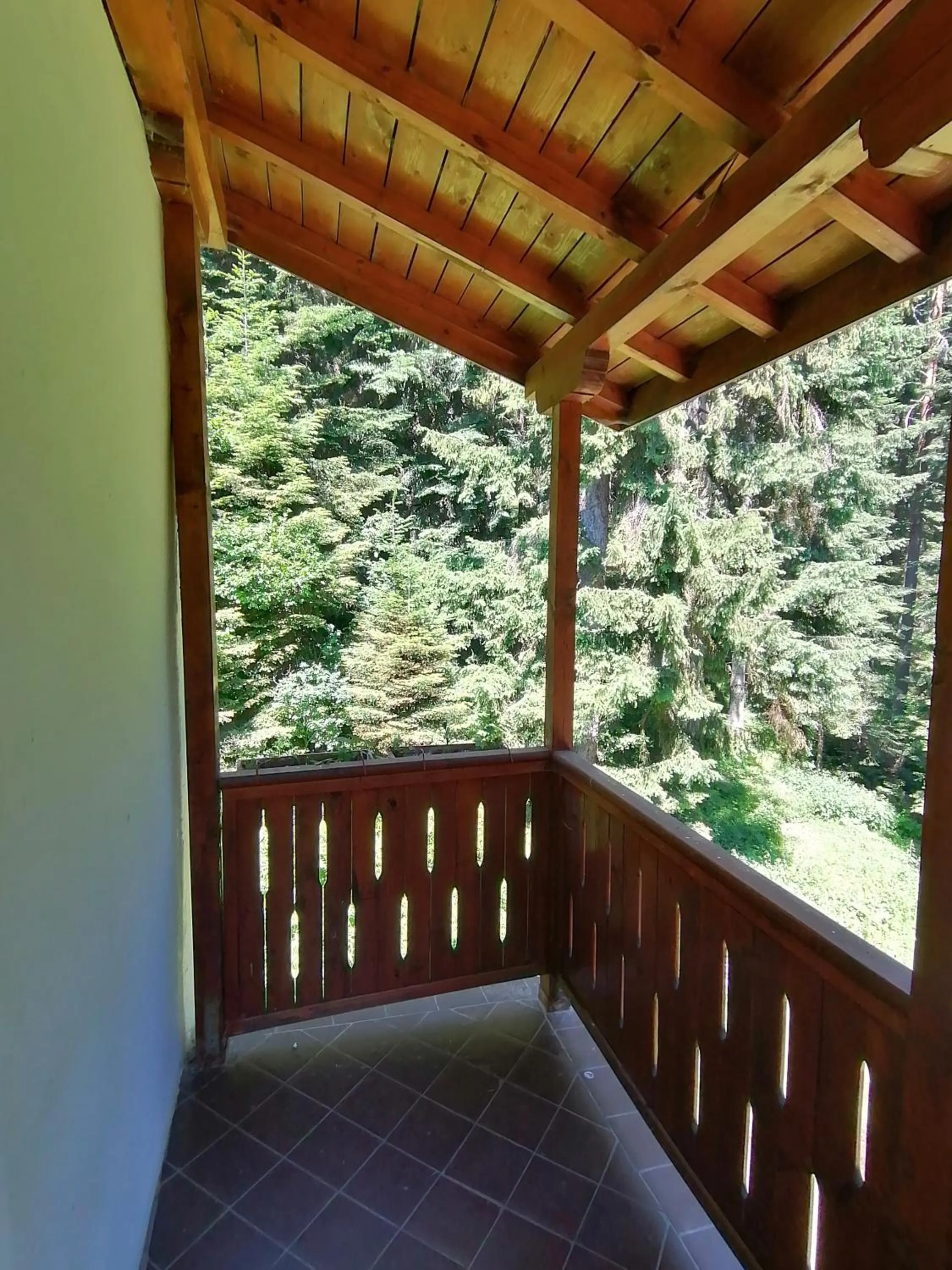 Natural landscape in Ski Hotel Katerina