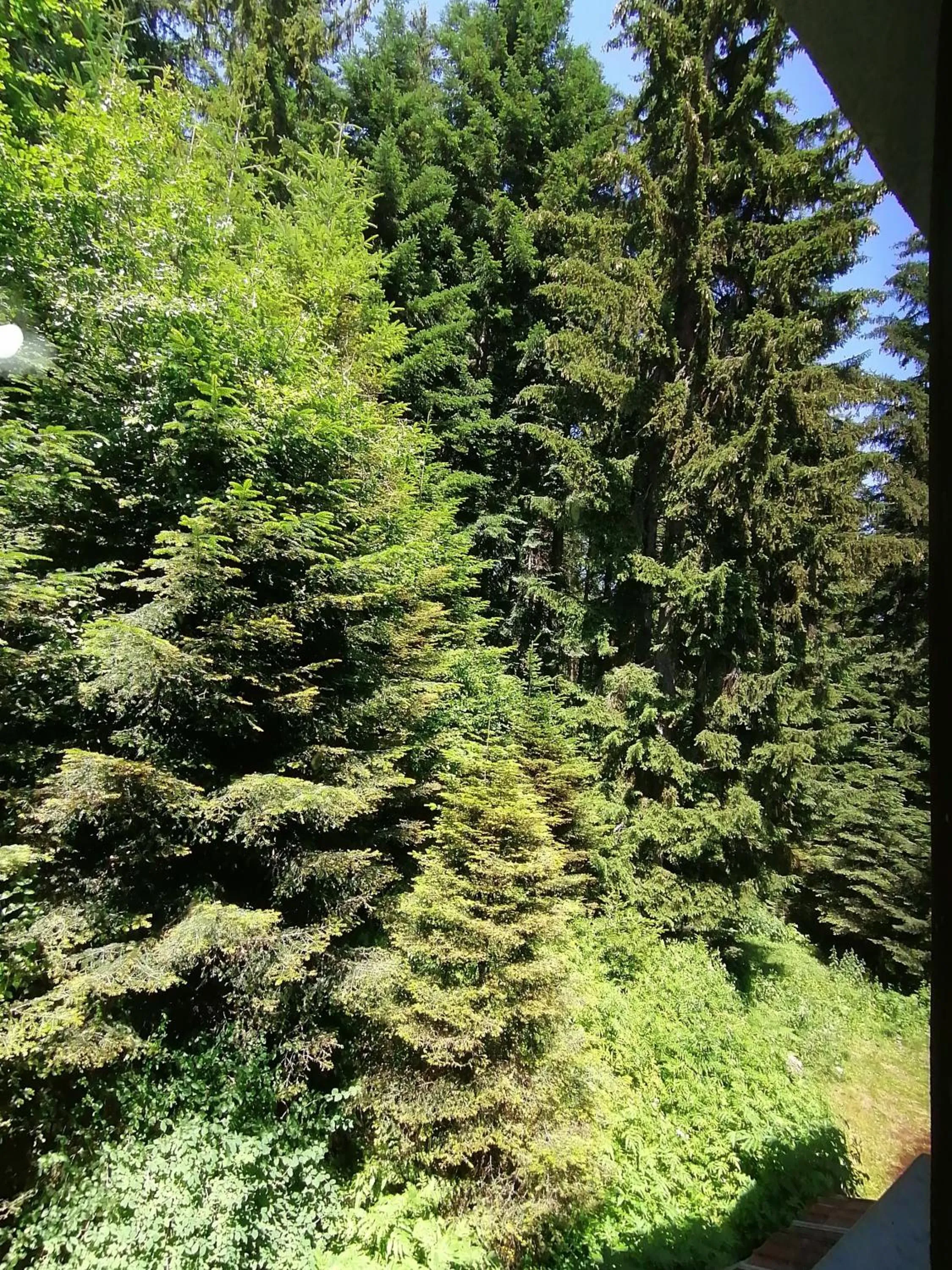 Natural landscape in Ski Hotel Katerina
