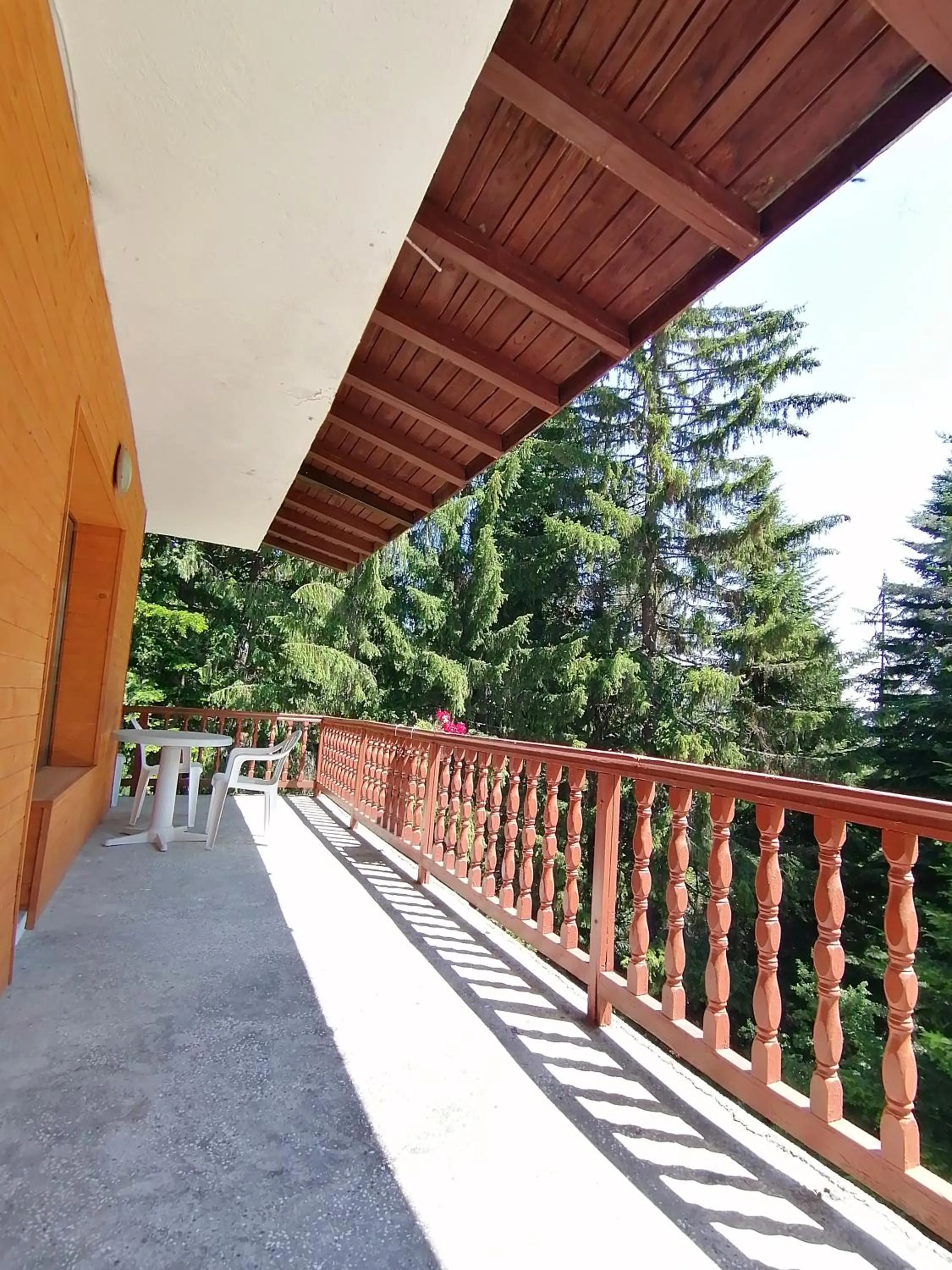 View (from property/room) in Ski Hotel Katerina