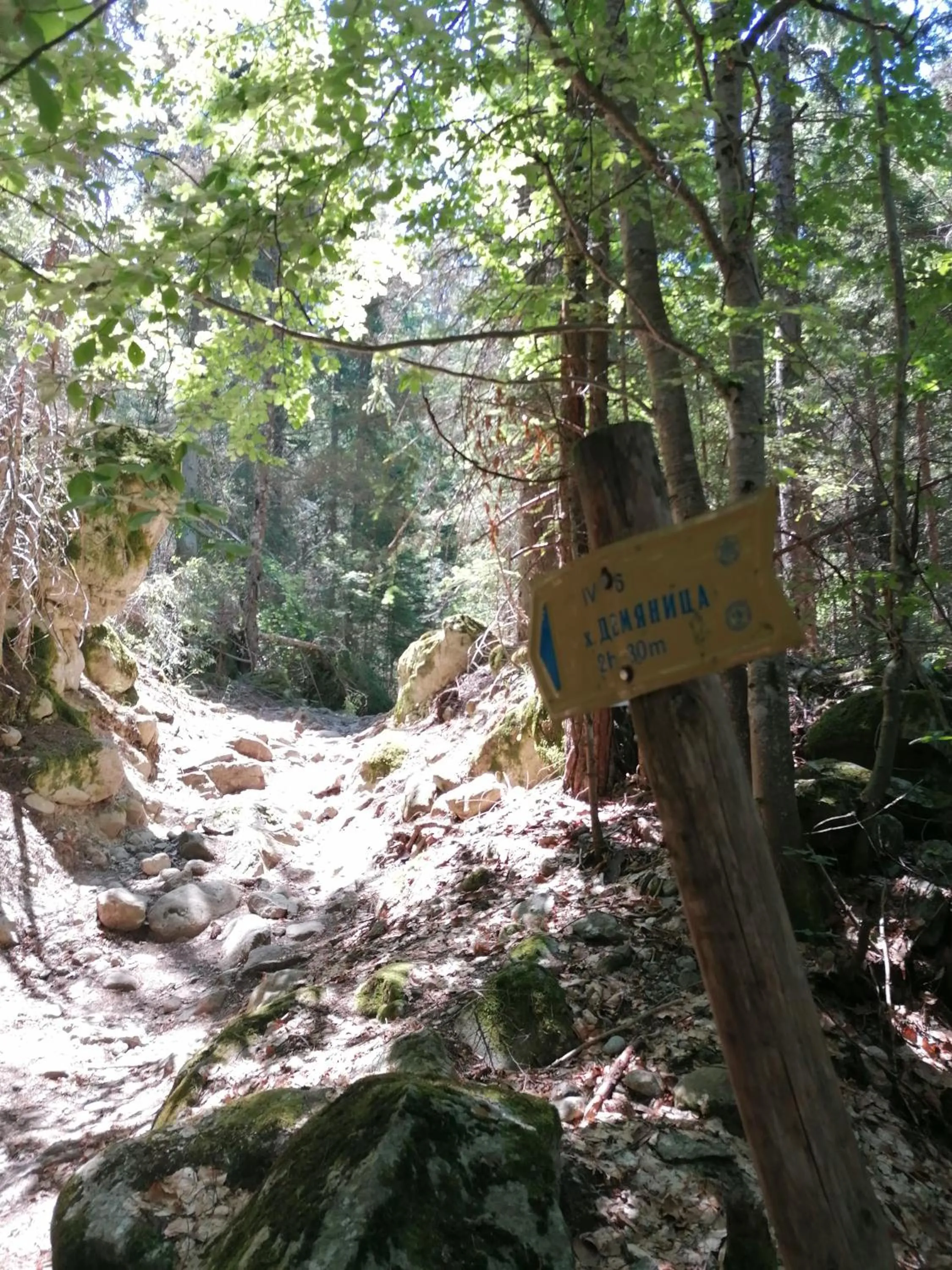 Nearby landmark in Ski Hotel Katerina