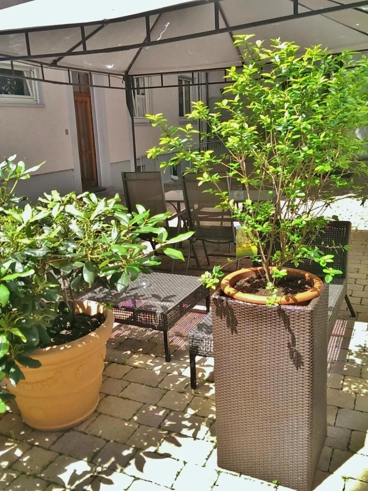 Patio in Hotel Aurora