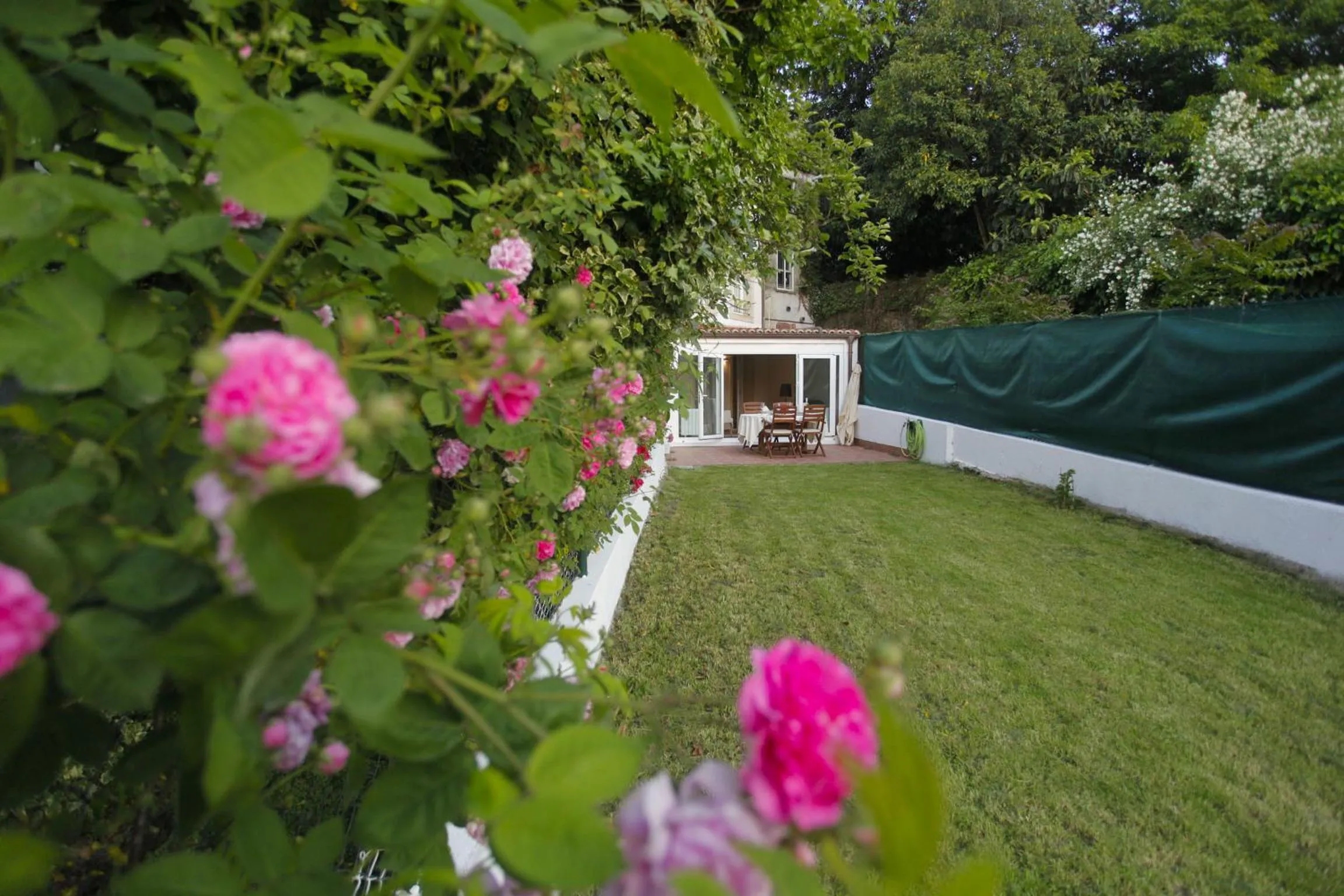 Garden in Catedral Site by Como en Casa