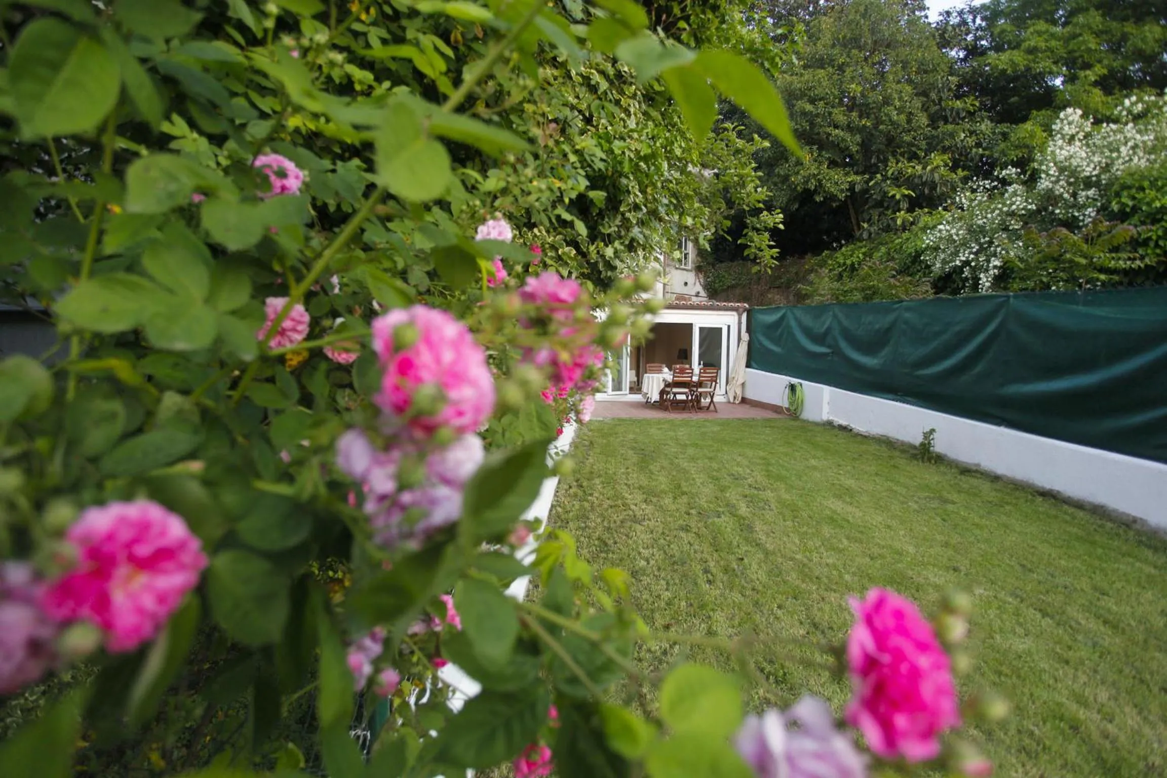 Garden in Catedral Site by Como en Casa