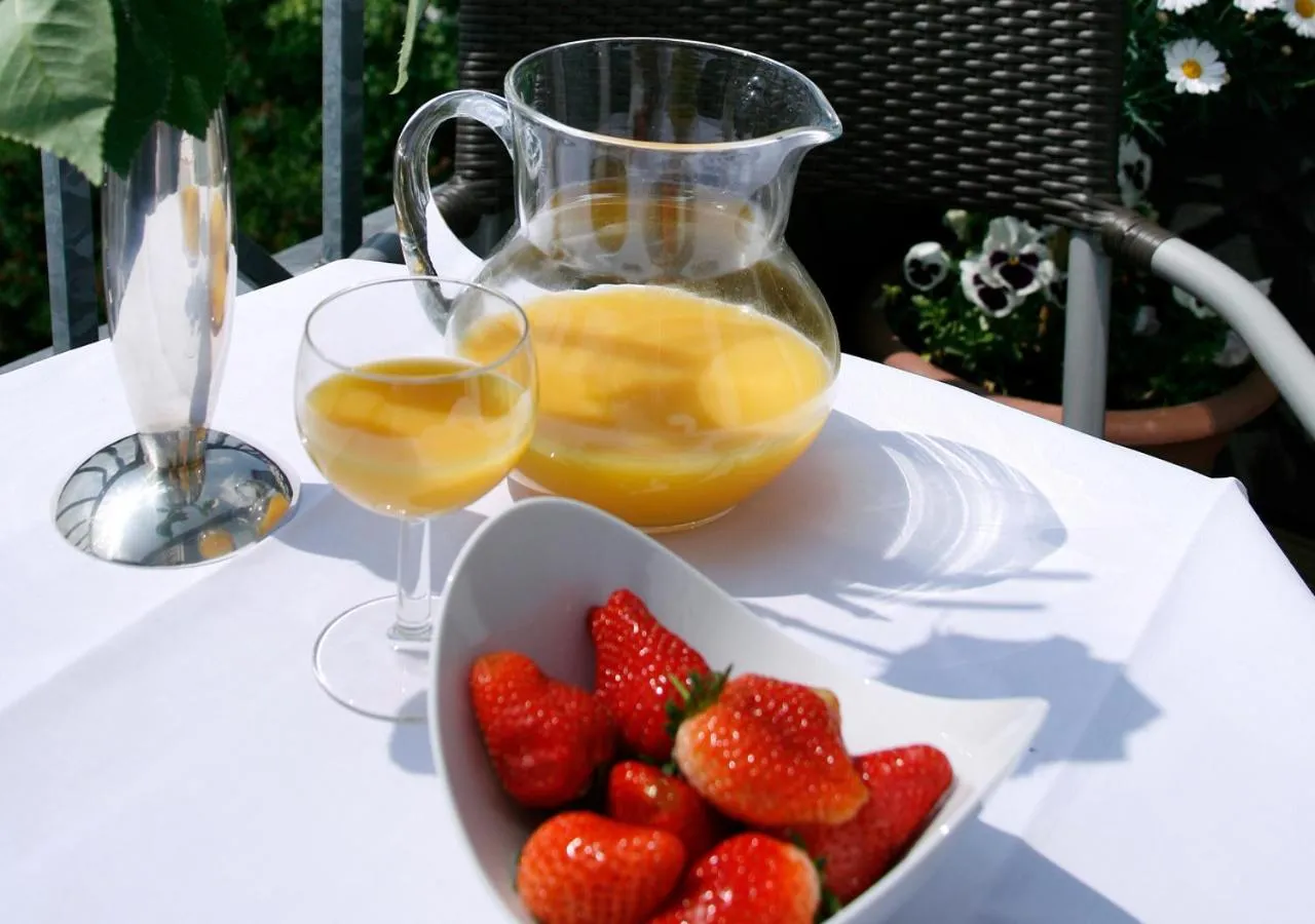 Balcony/Terrace in Hotel Regina