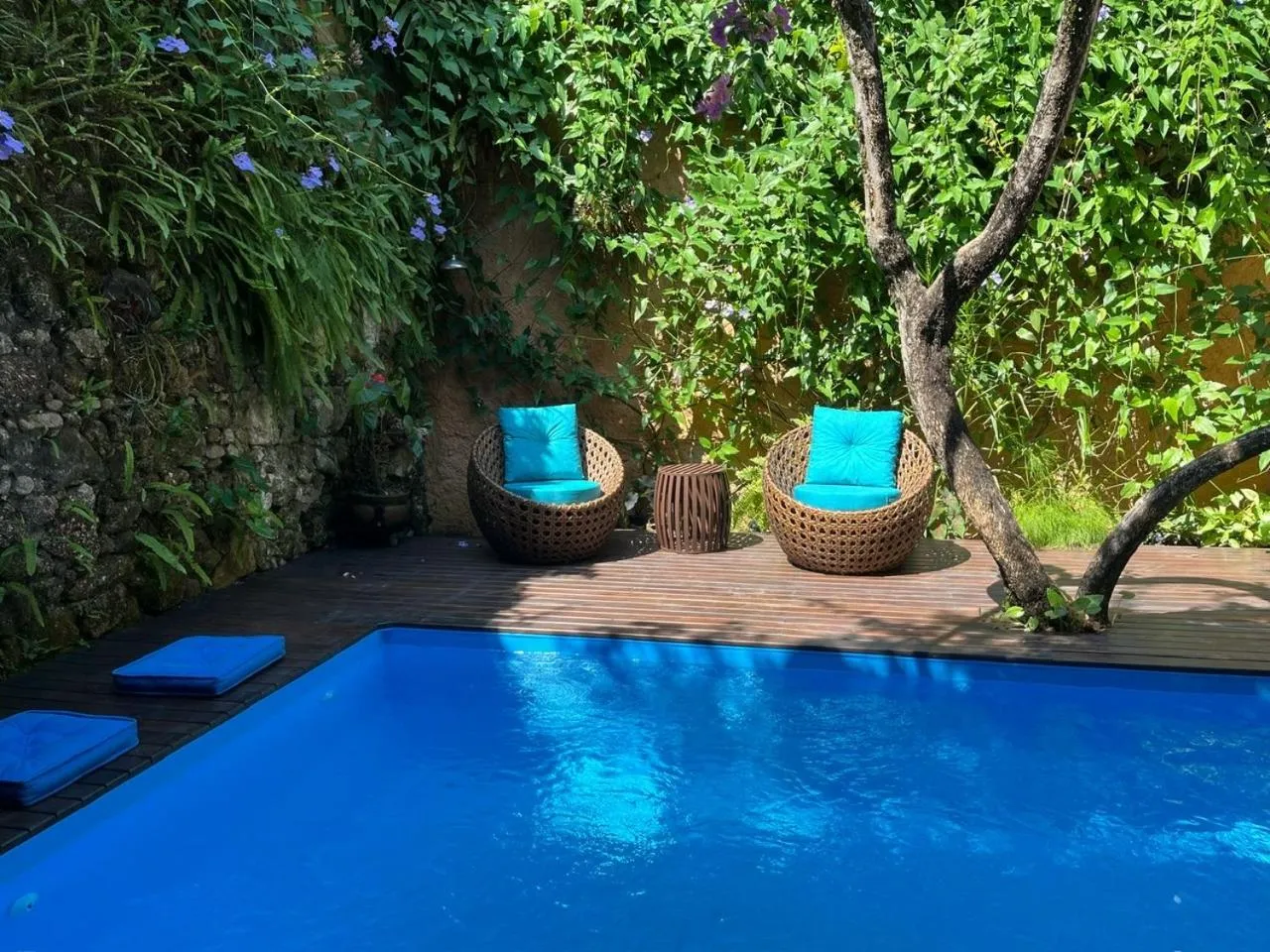 Garden in Pousada Arte Urquijo