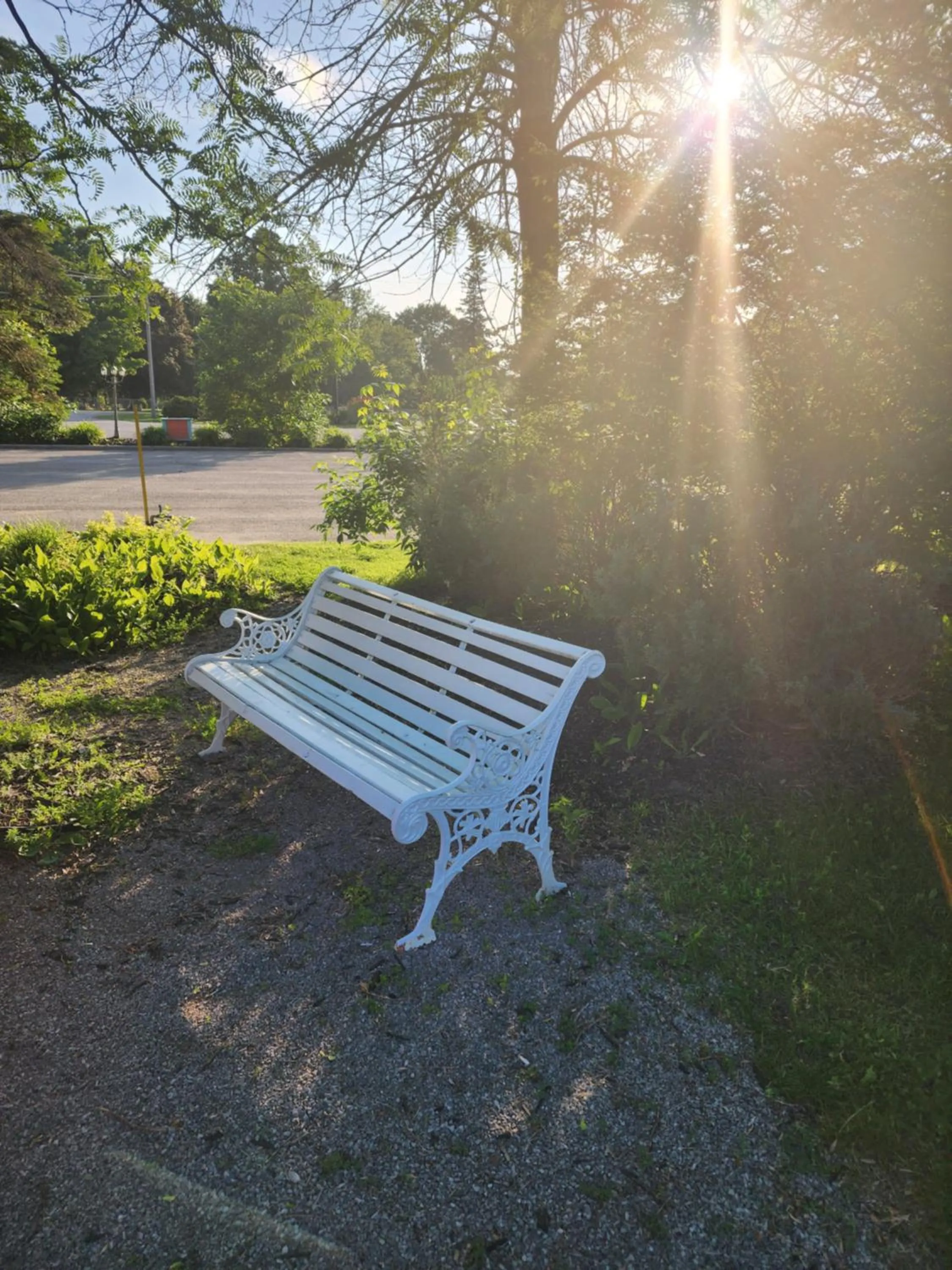 Day in Howard Johnson by Wyndham Lindsay