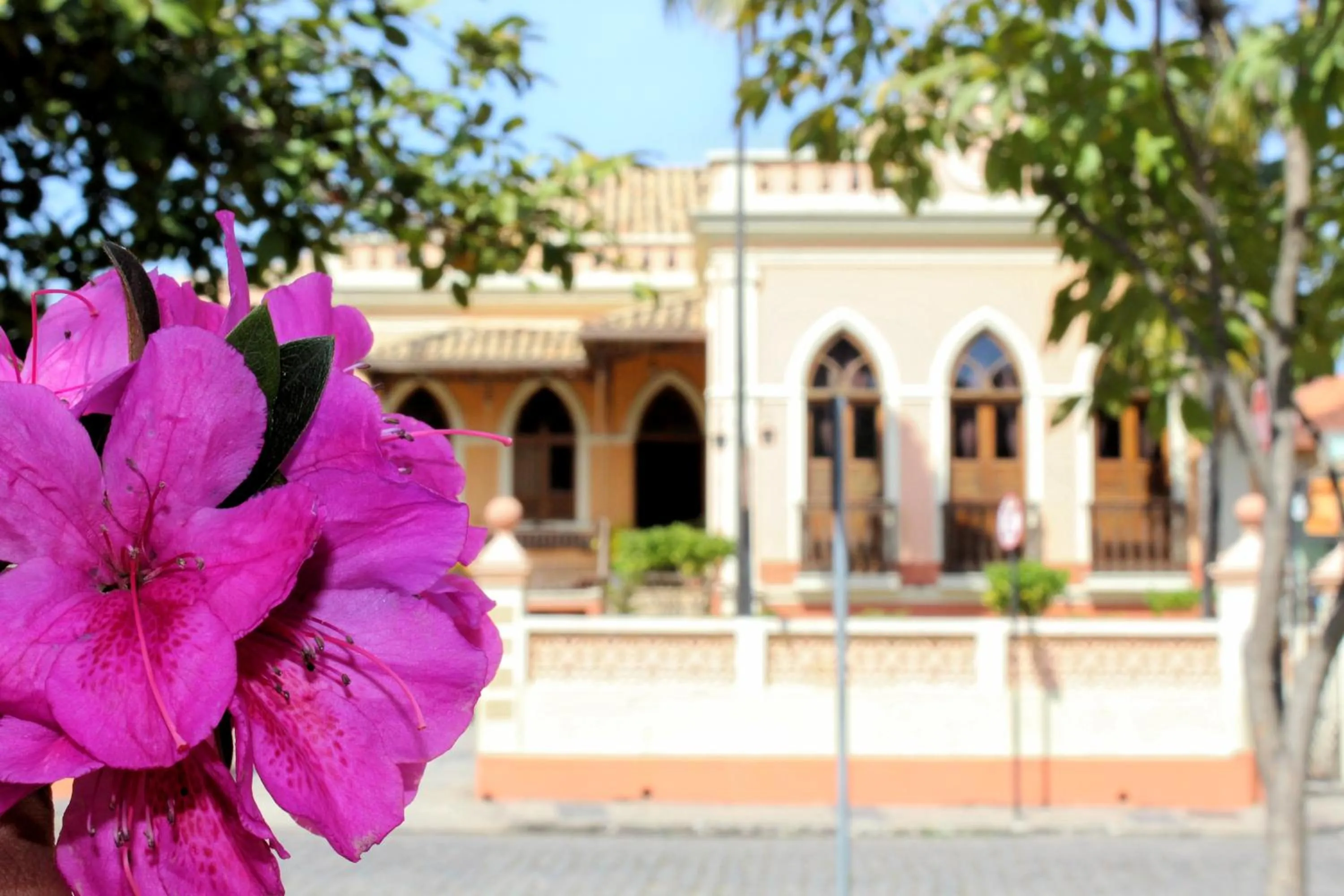 Garden in Pousada Estação do Trem