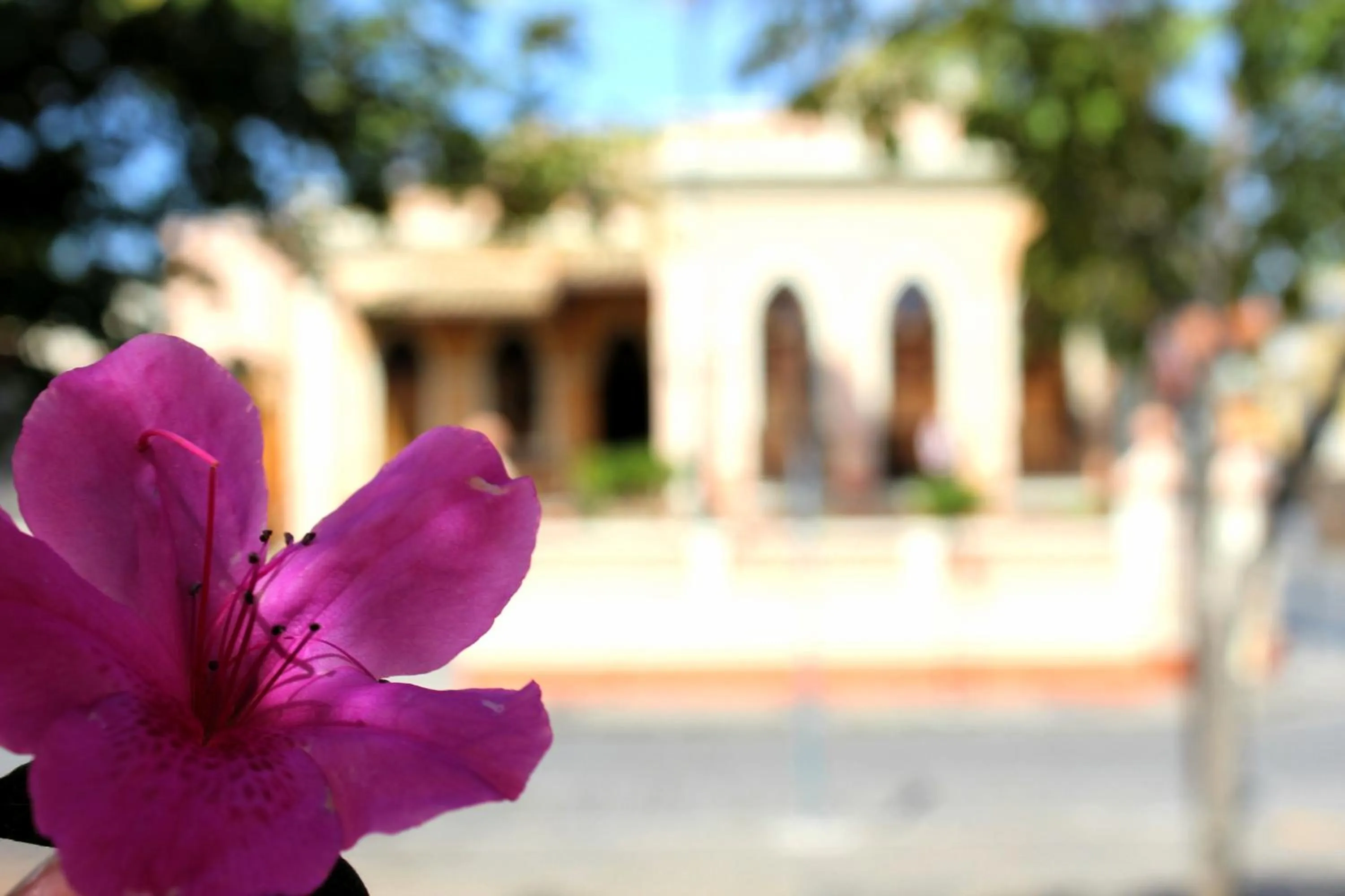 Property building in Pousada Estação do Trem