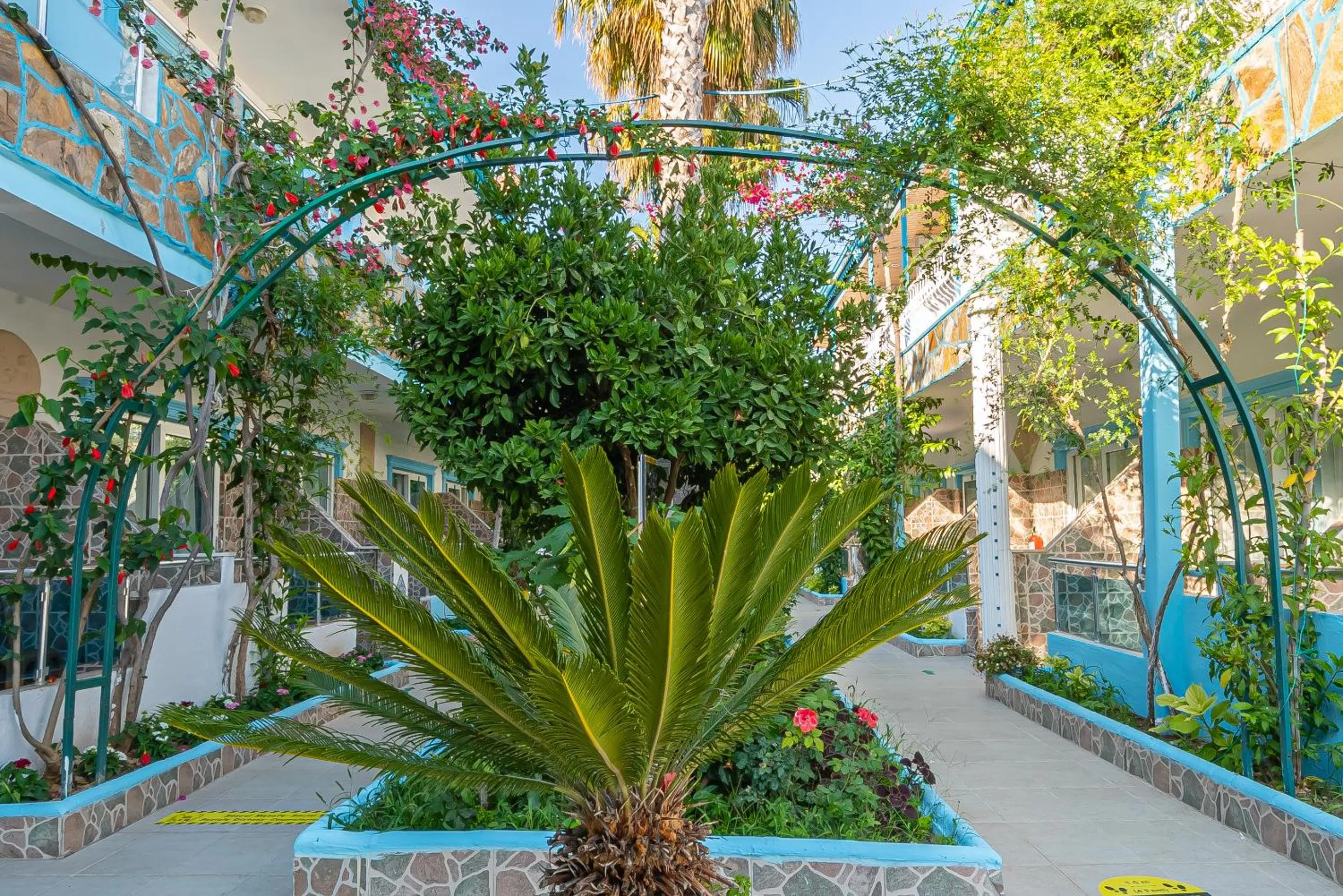 Garden in Sunberk Hotel