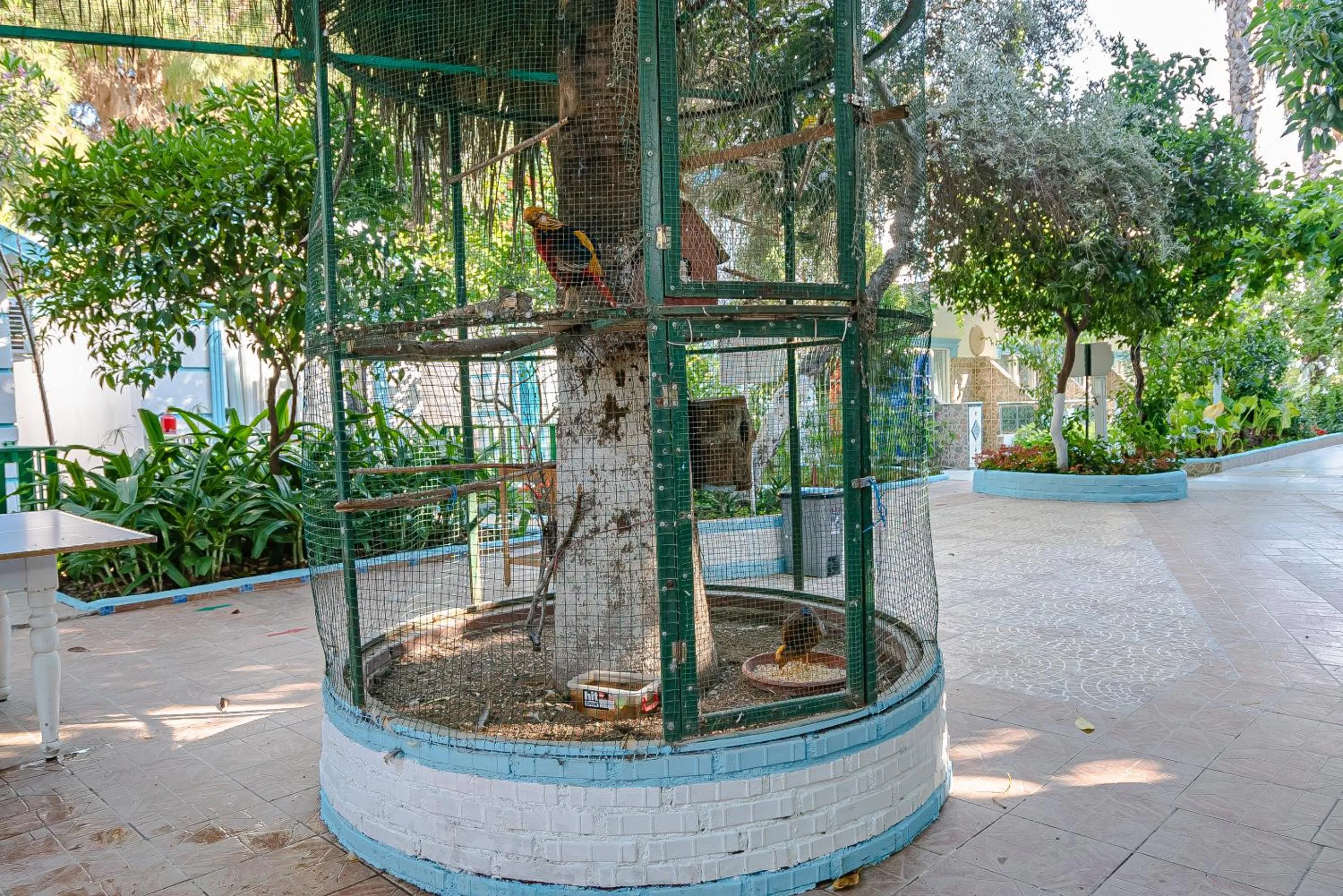 Garden in Sunberk Hotel