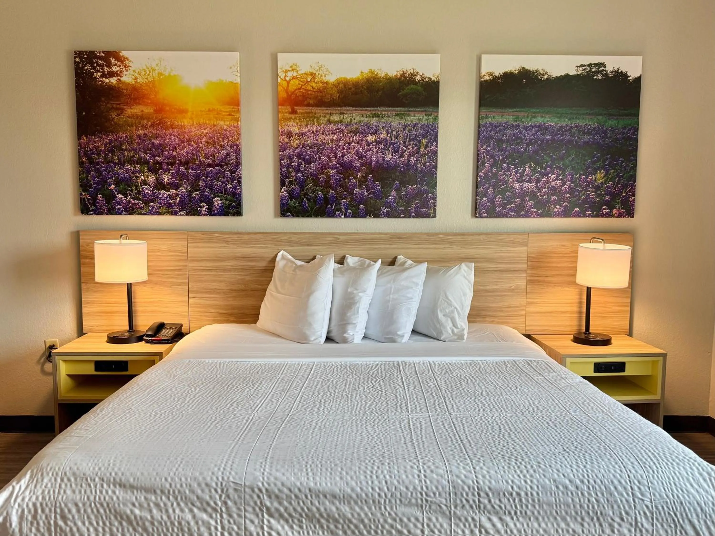 Bed in Days Inn & Suites by Wyndham Houston / West Energy Corridor