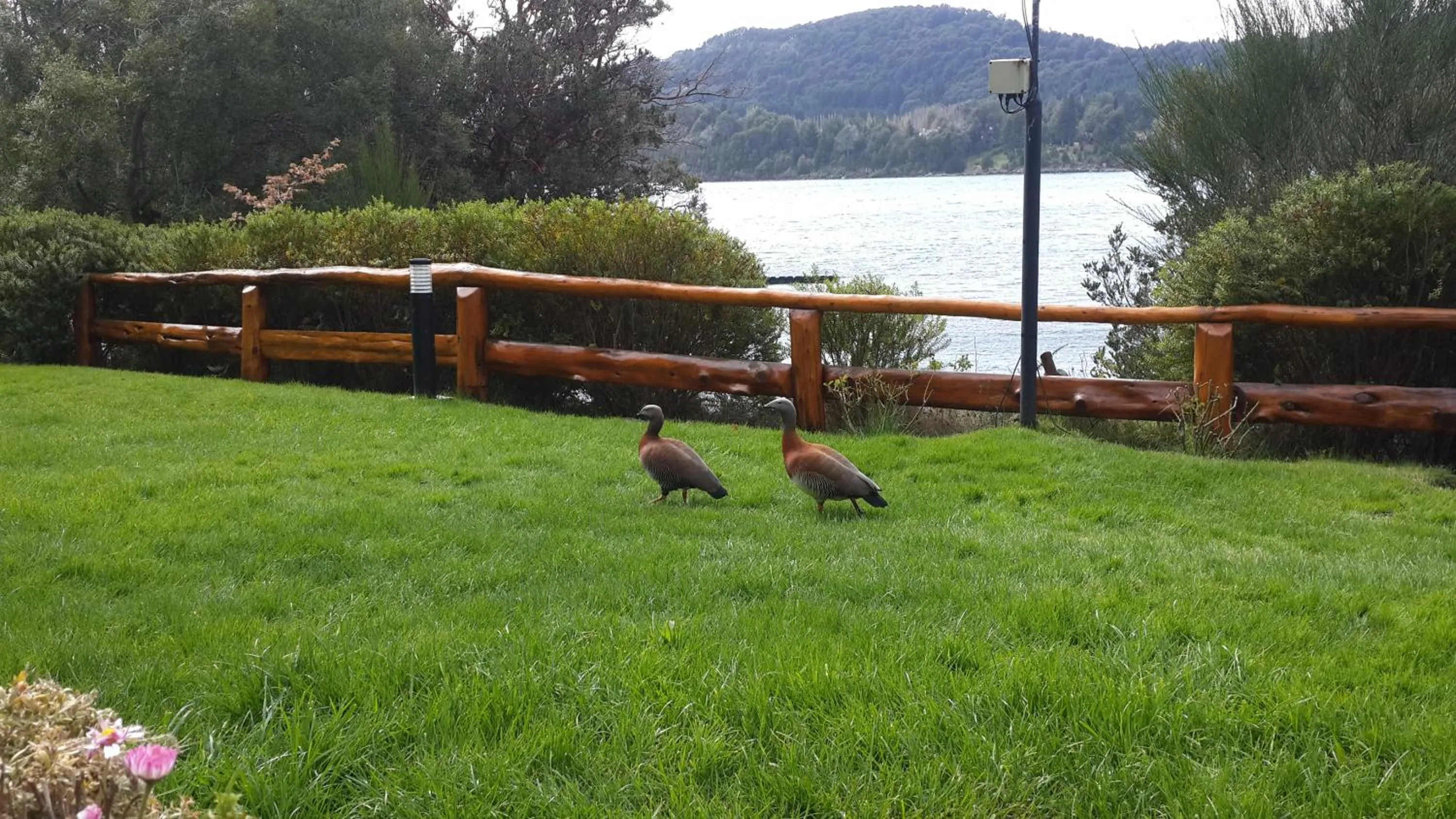 Garden view in Cabañas Puerto Pireo