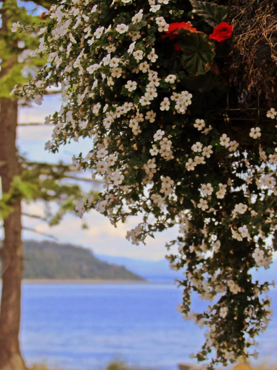 Beach in Heron's Landing Hotel