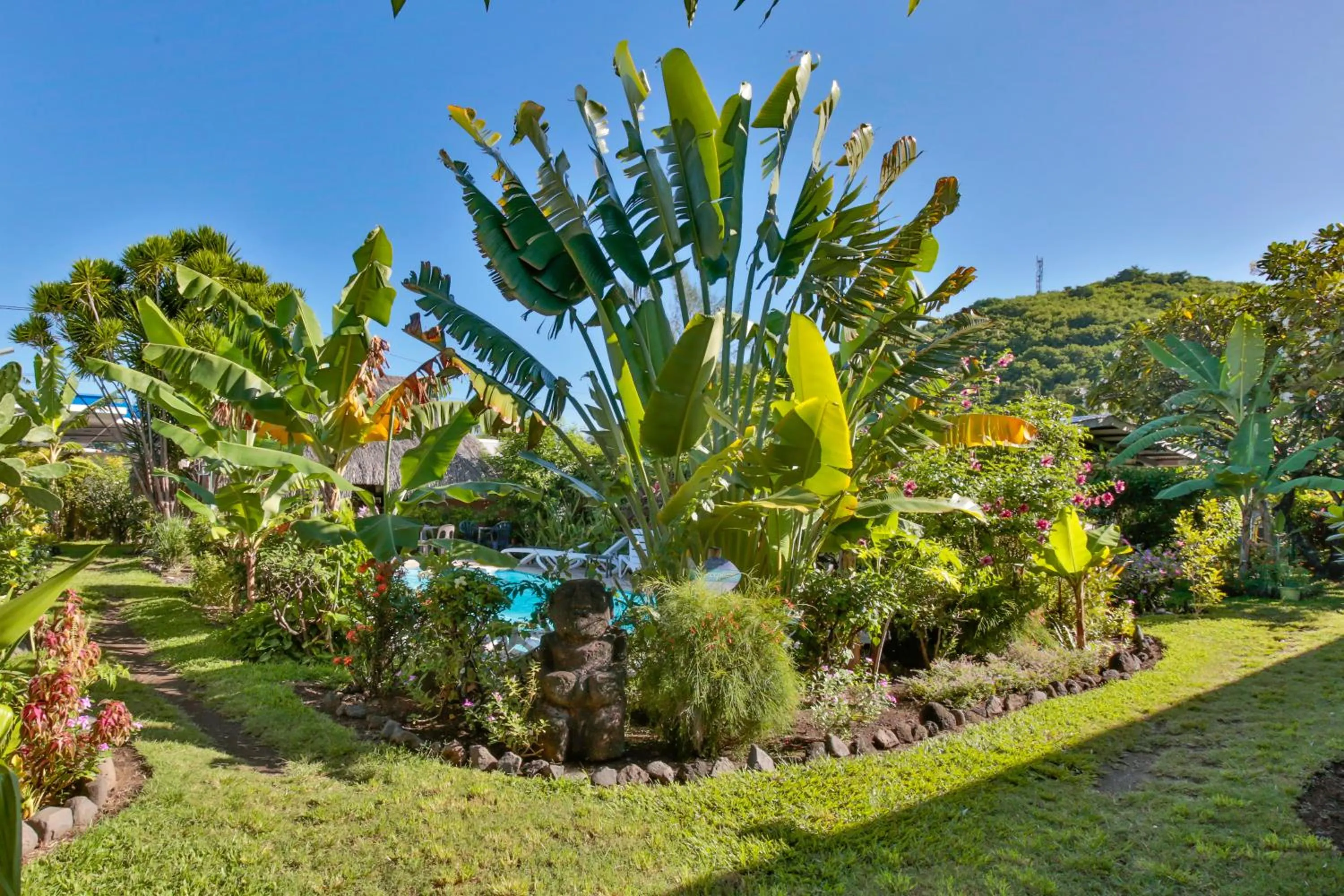 Garden in Pension De La Plage