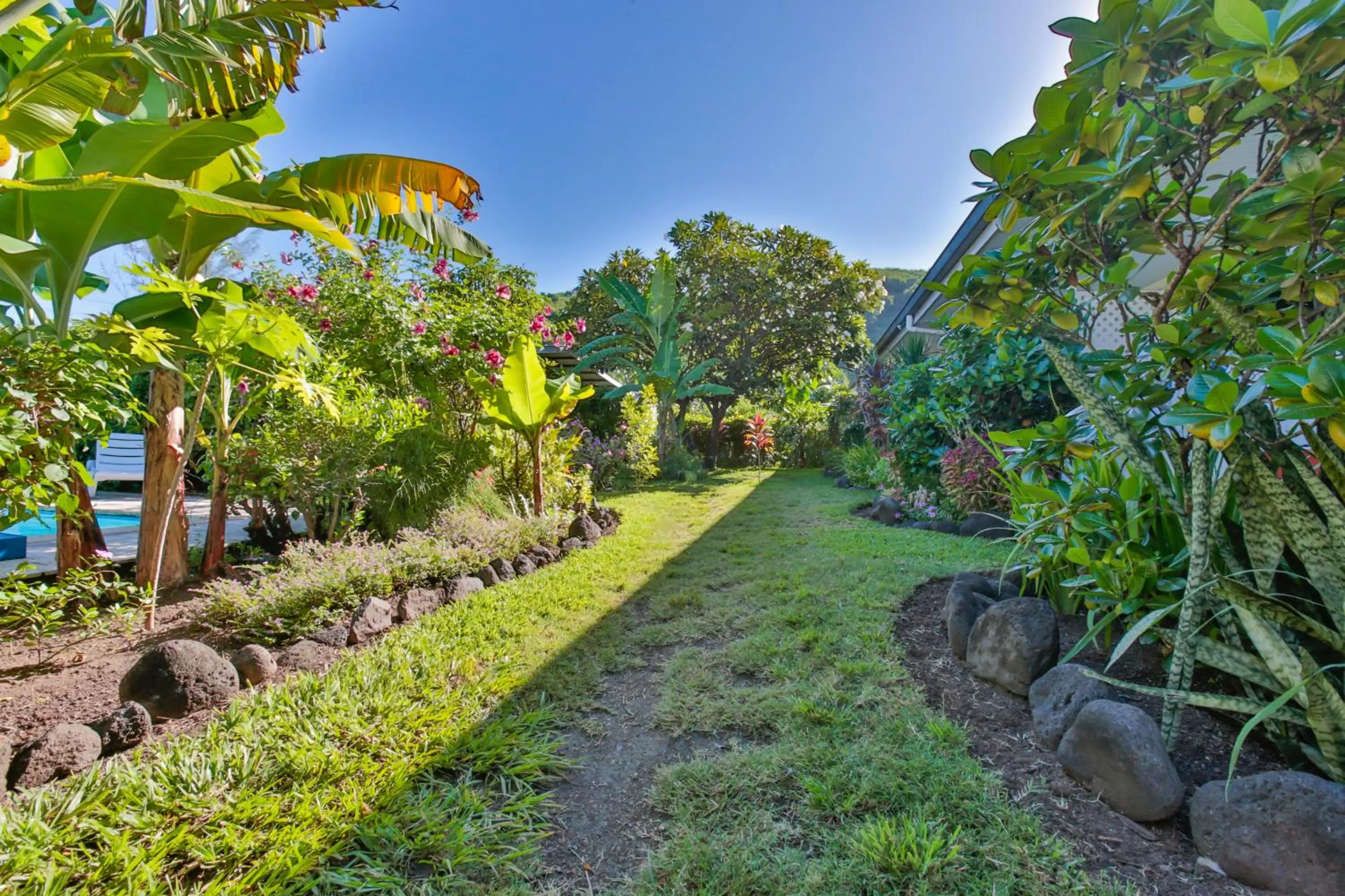 Garden in Pension De La Plage