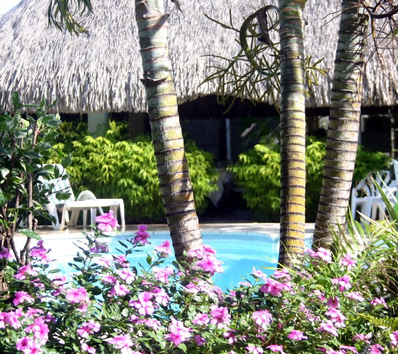 Pool view in Pension De La Plage
