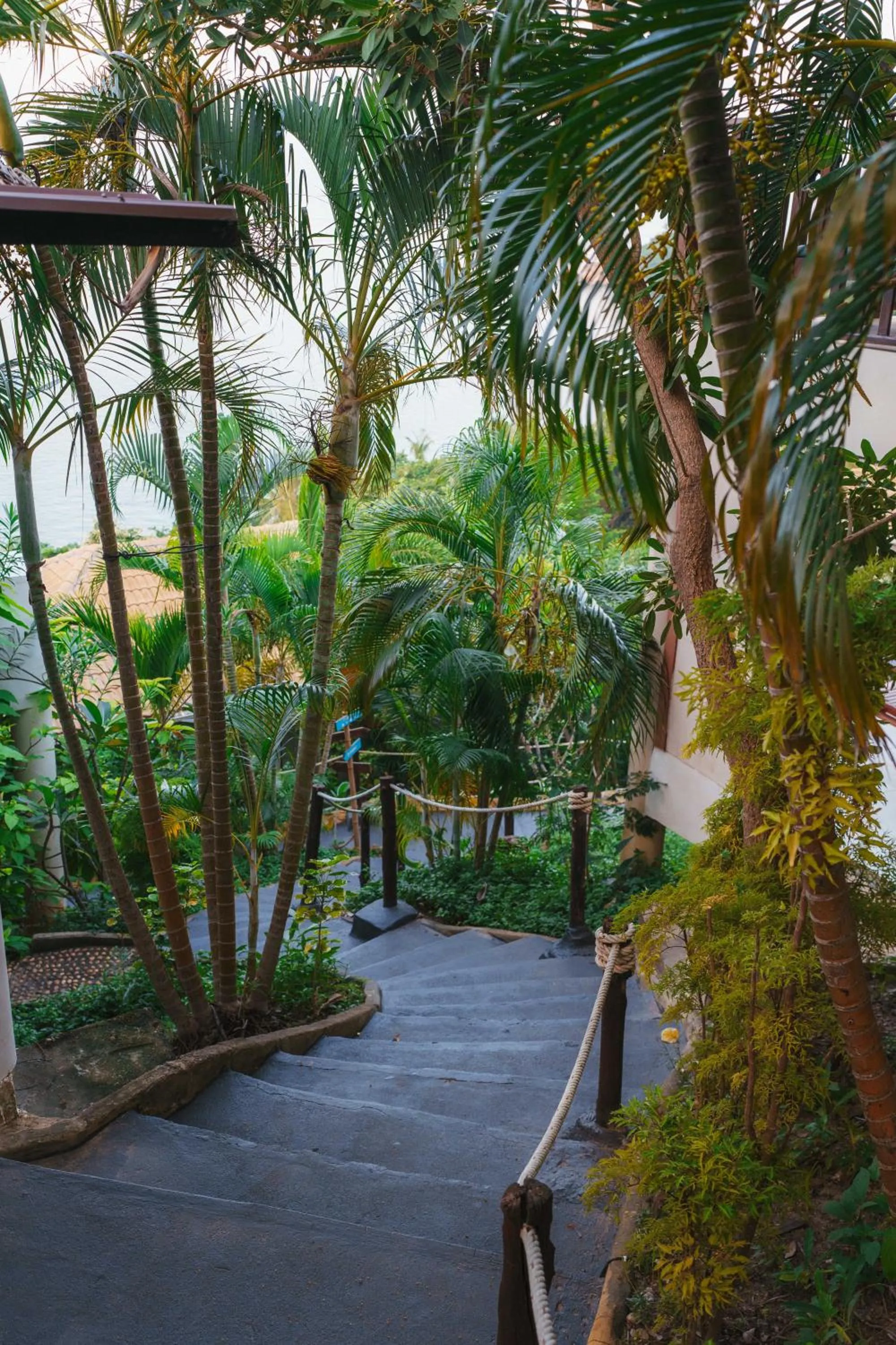 Natural landscape in Pinnacle Koh Tao Resort